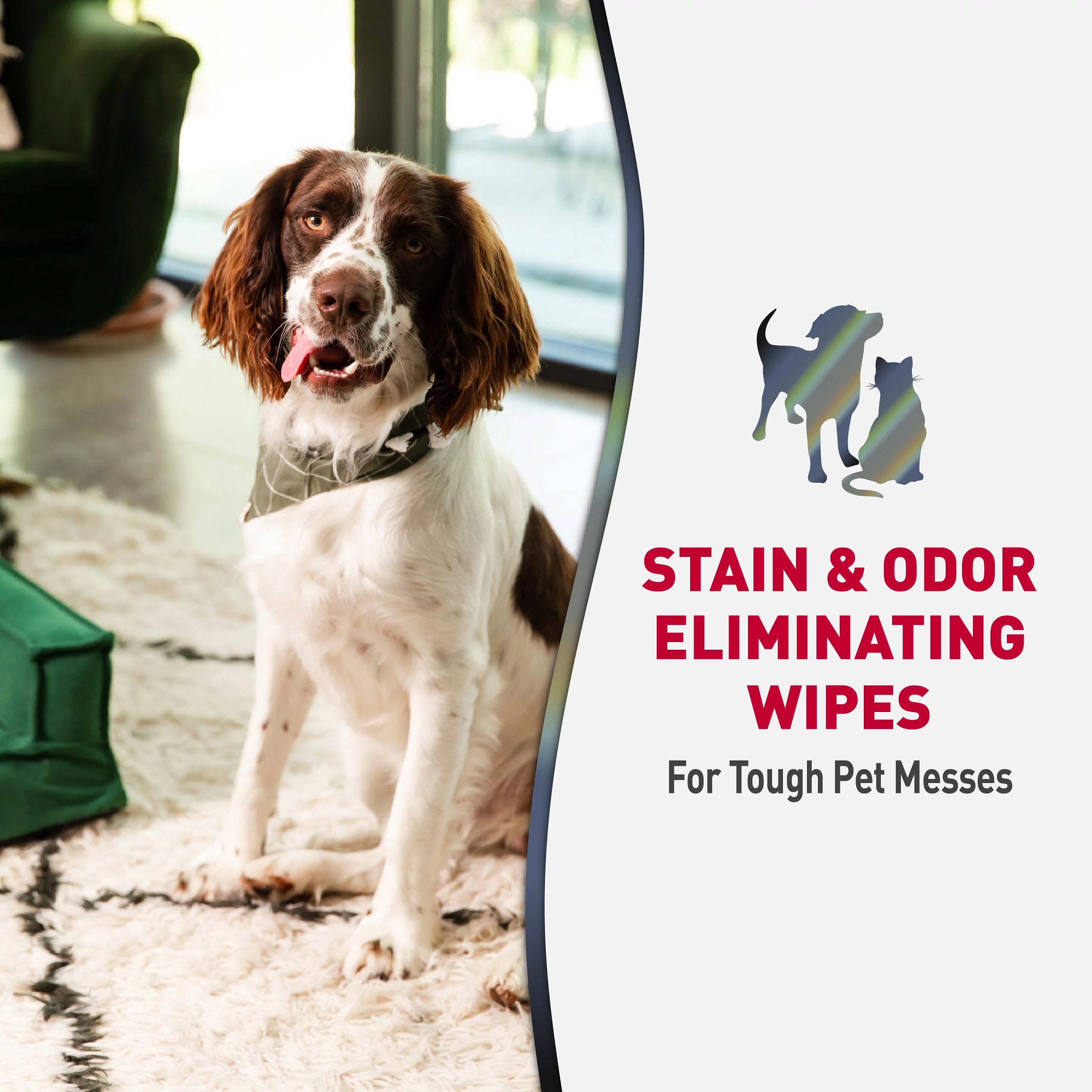 Nature's Miracle Platinum Stain & Odor Eliminator Wipes for Dogs