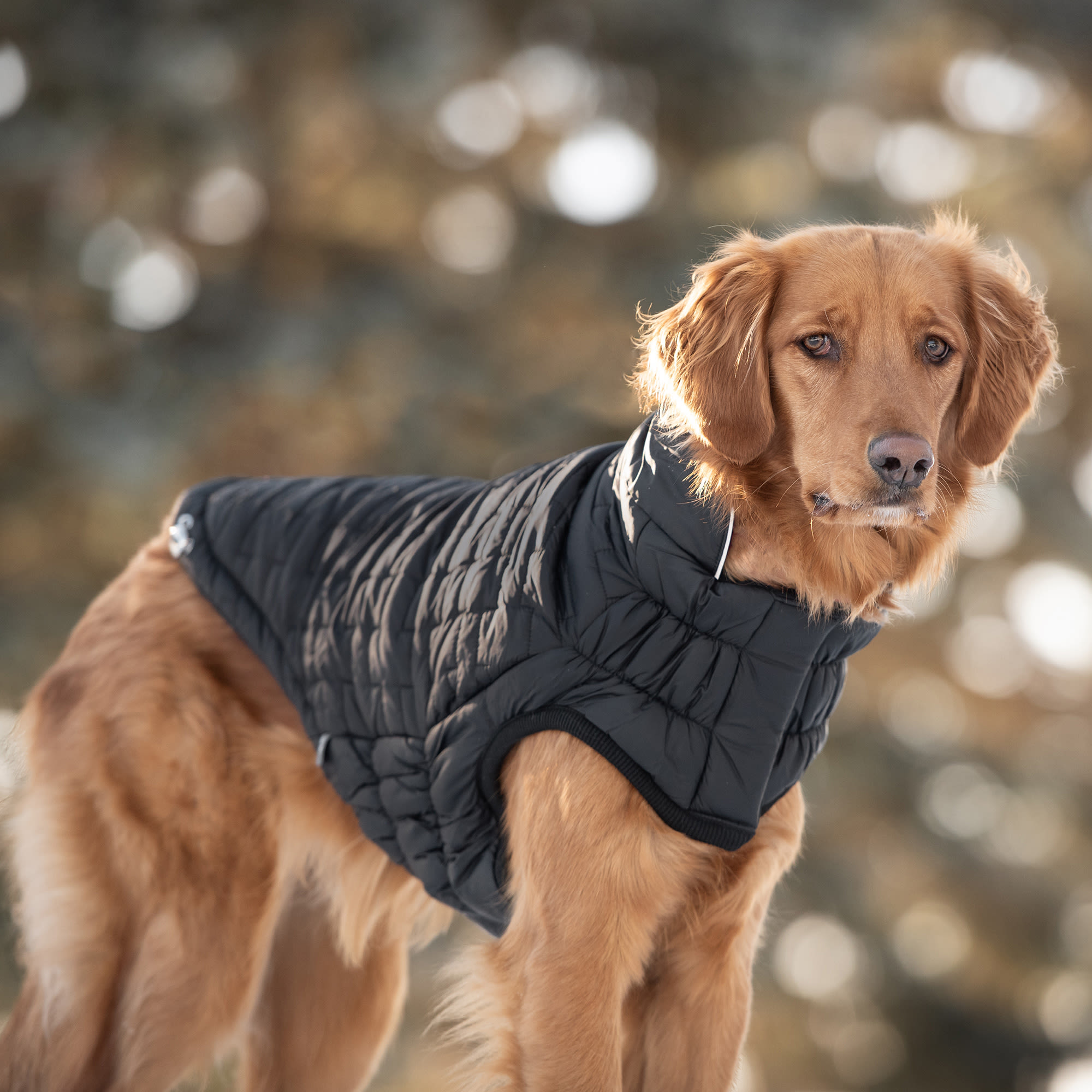 GF Pet Black Reversible Elasto Fit Chalet Dog Jacket XX Large