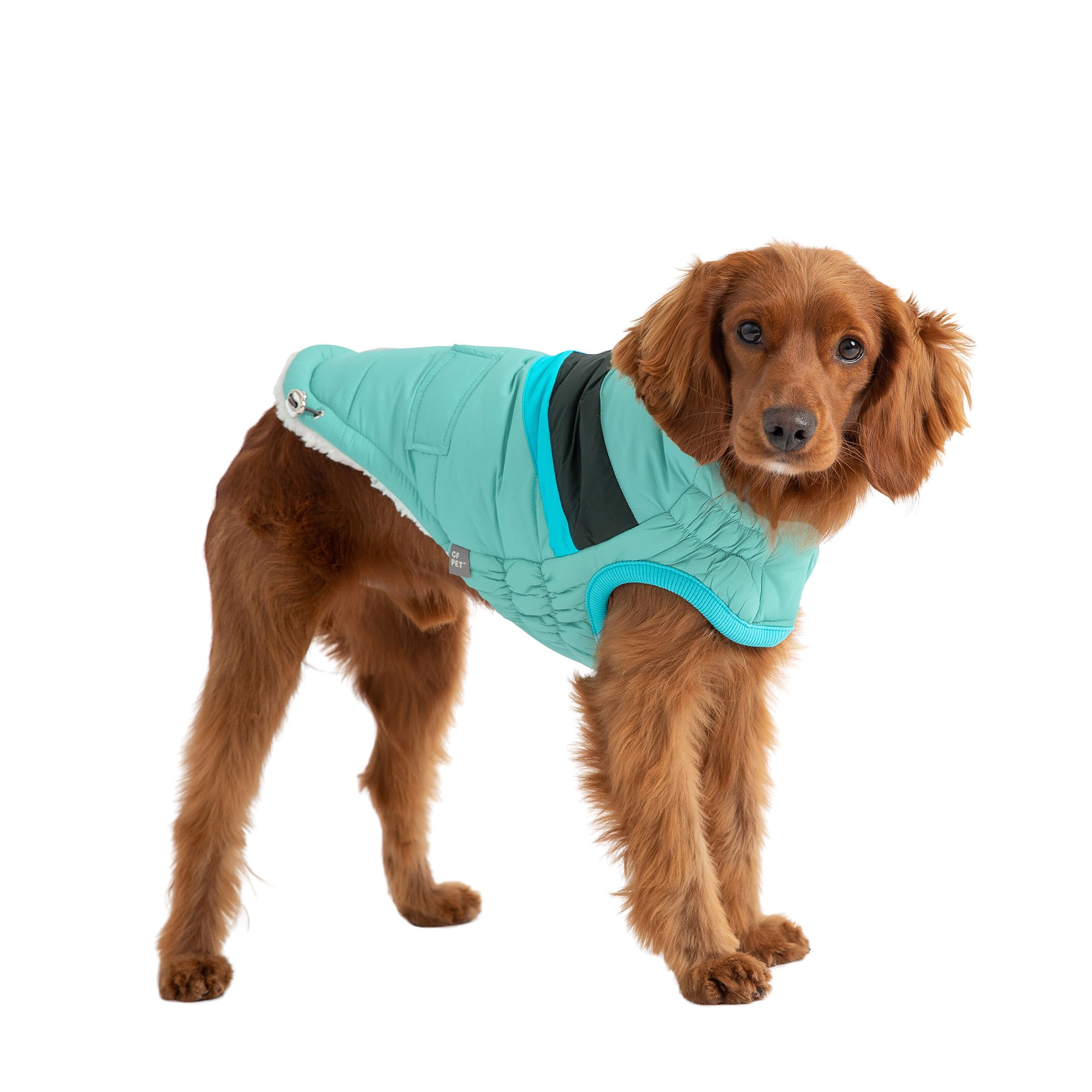 GF Pet Aqua Elasto Fit Alpine Puffer Jacket for Dogs Medium Petco