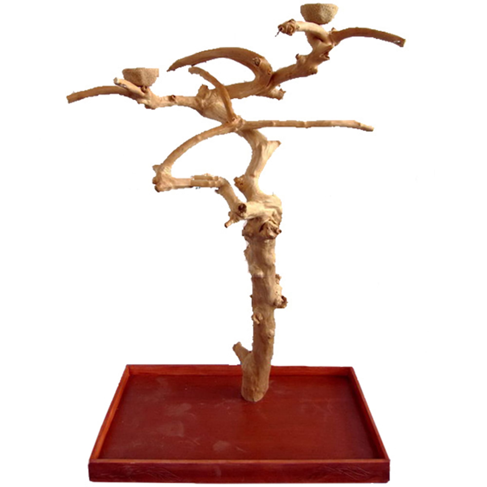 A&E Cage Company Medium Java Wood Boxed Tree, 40
