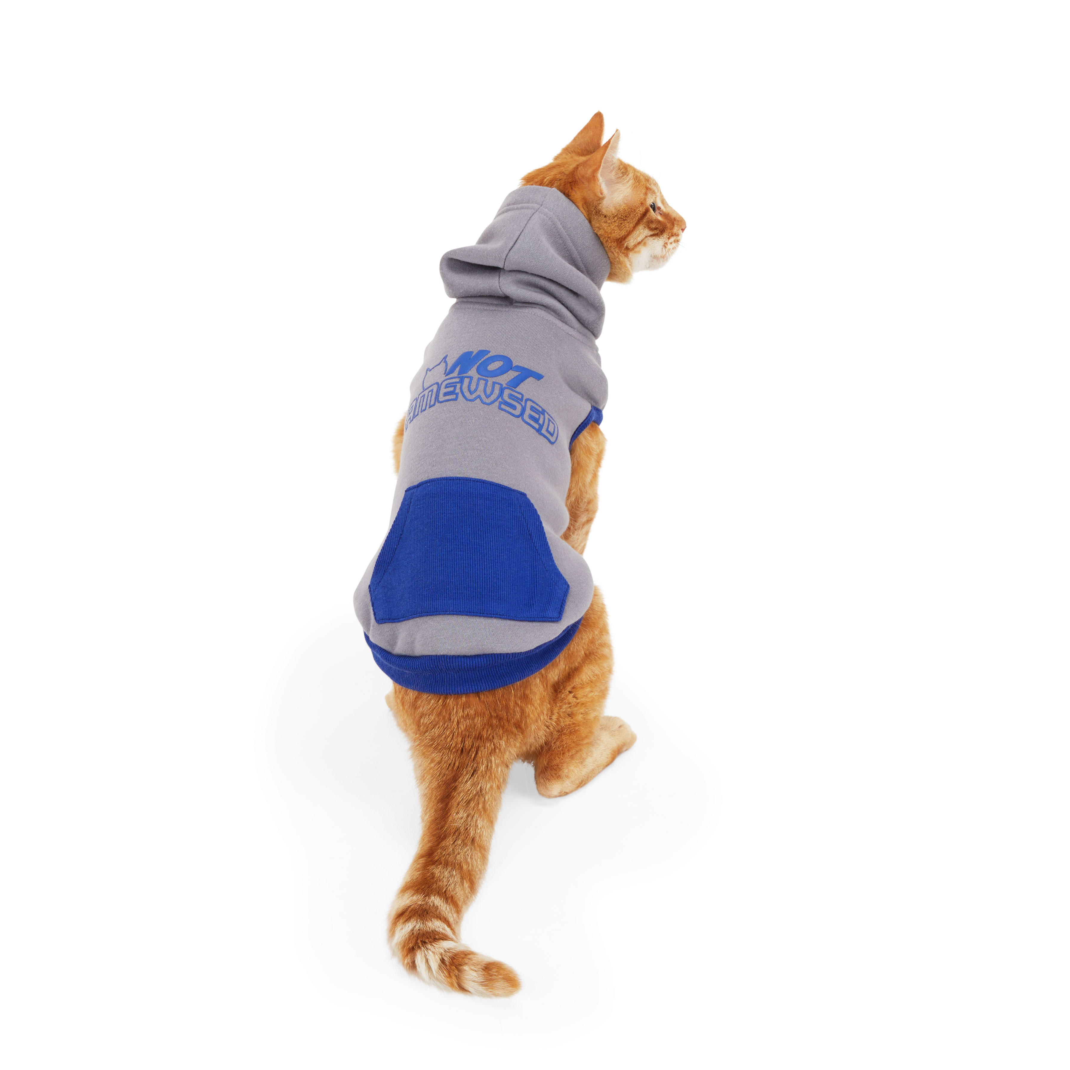 Cat hoodie for discount cat