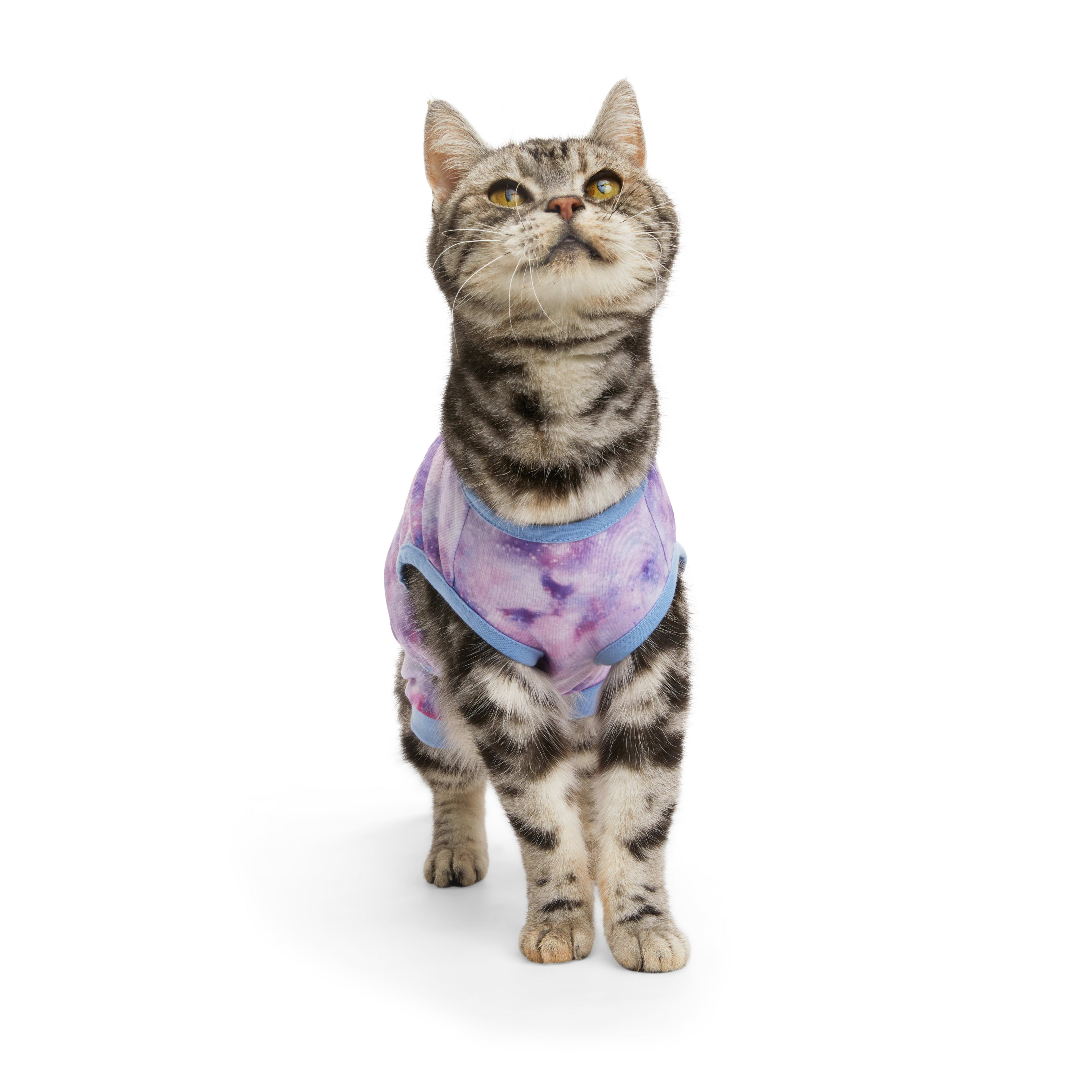 Petco cat 2025 recovery suit