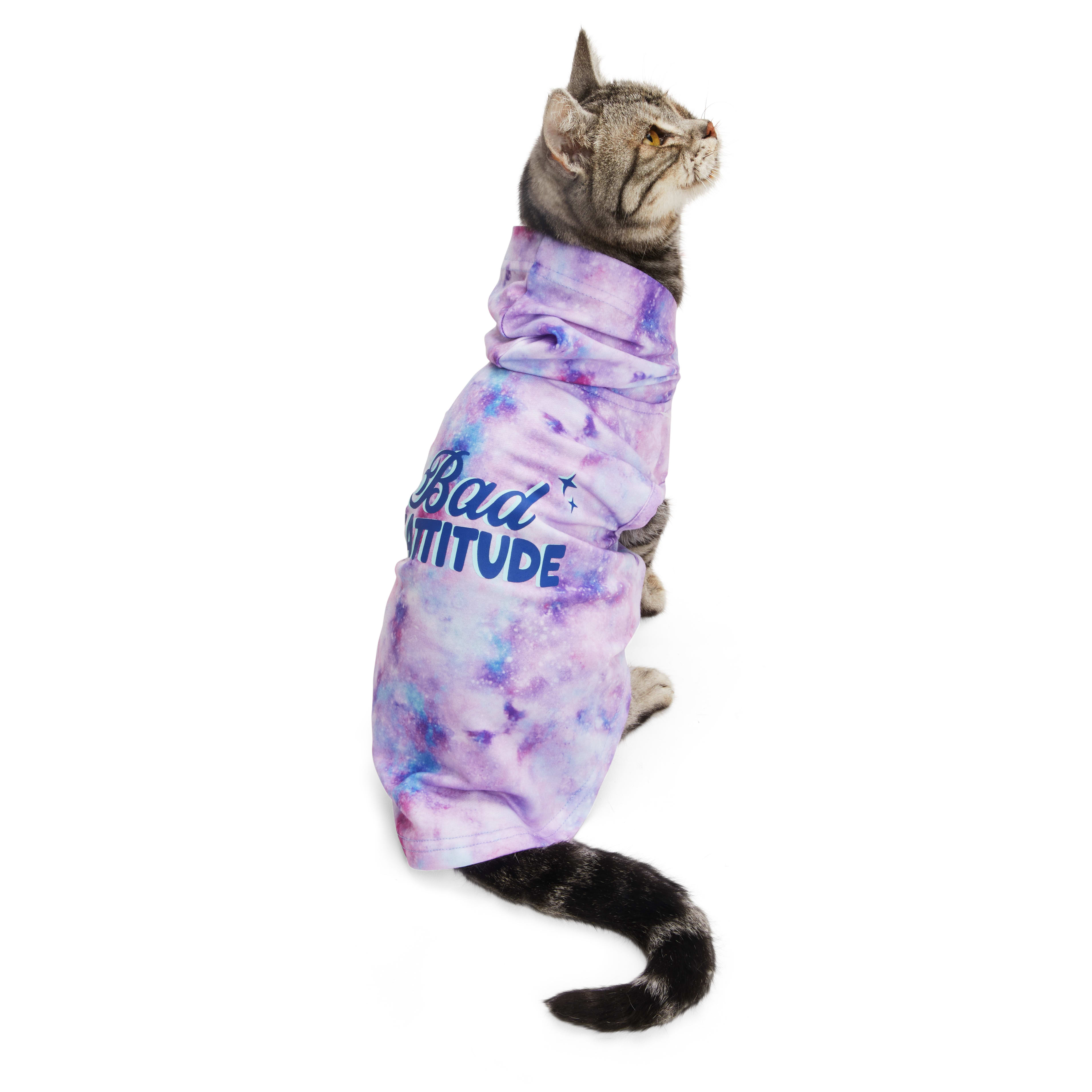 Petco cat clothes sale