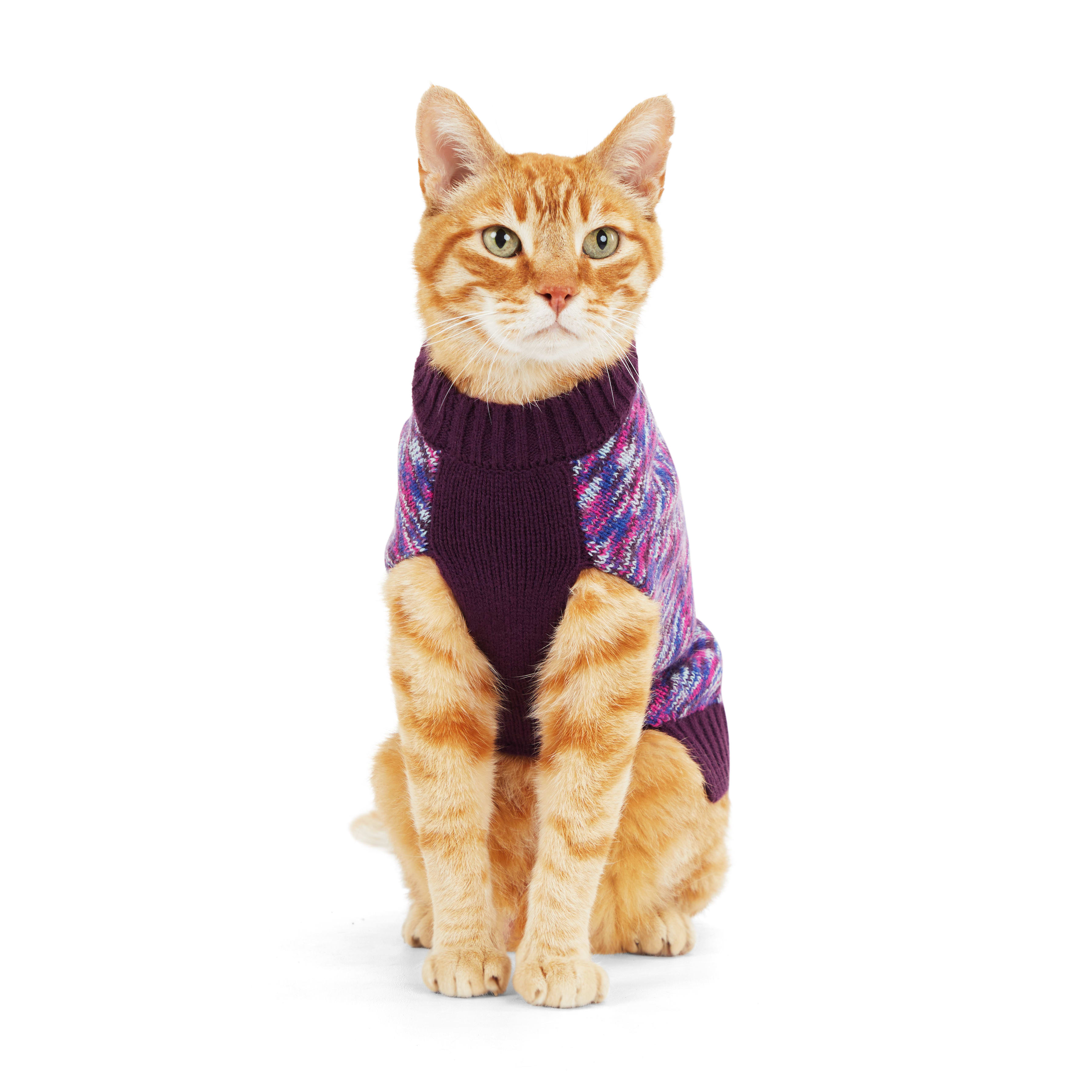 Cheap cat clearance sweaters