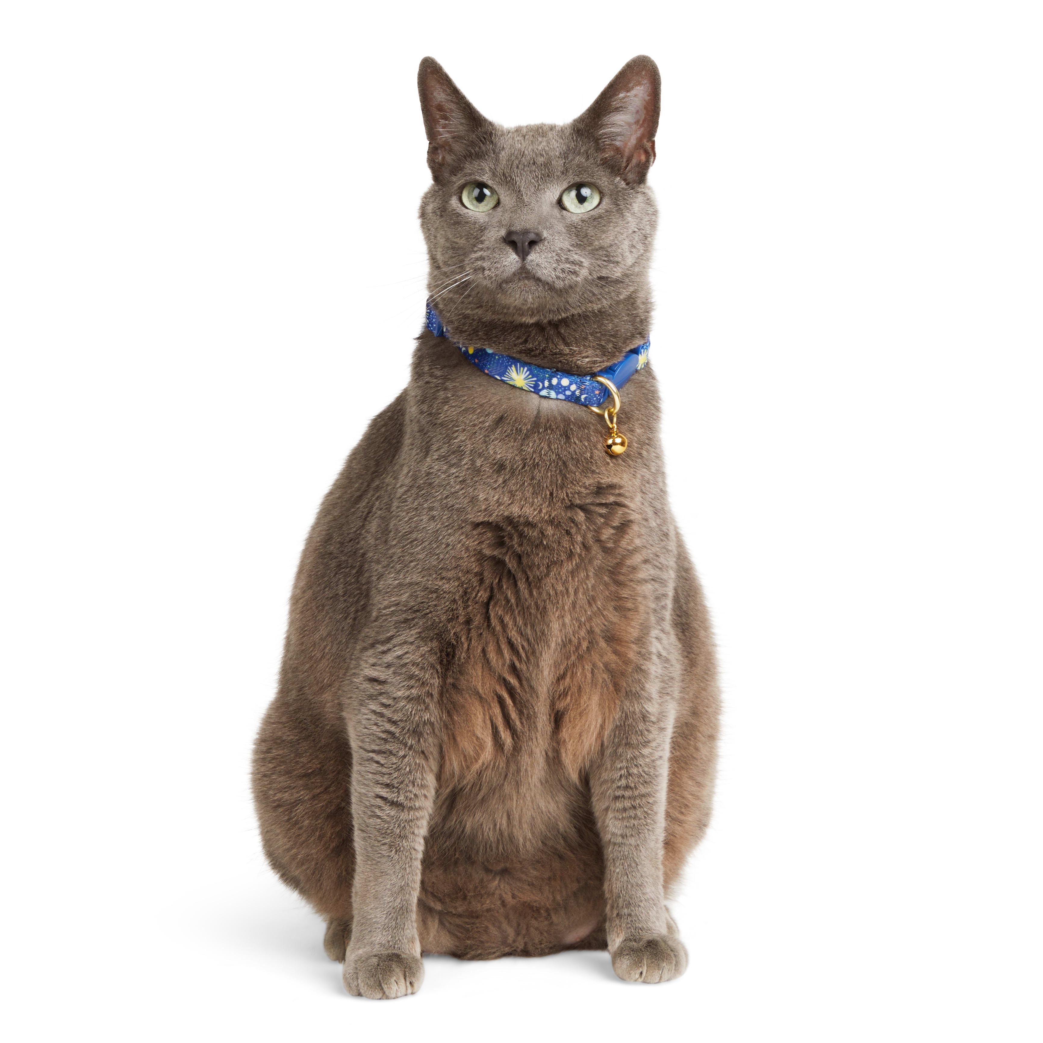 Grey store cat collar