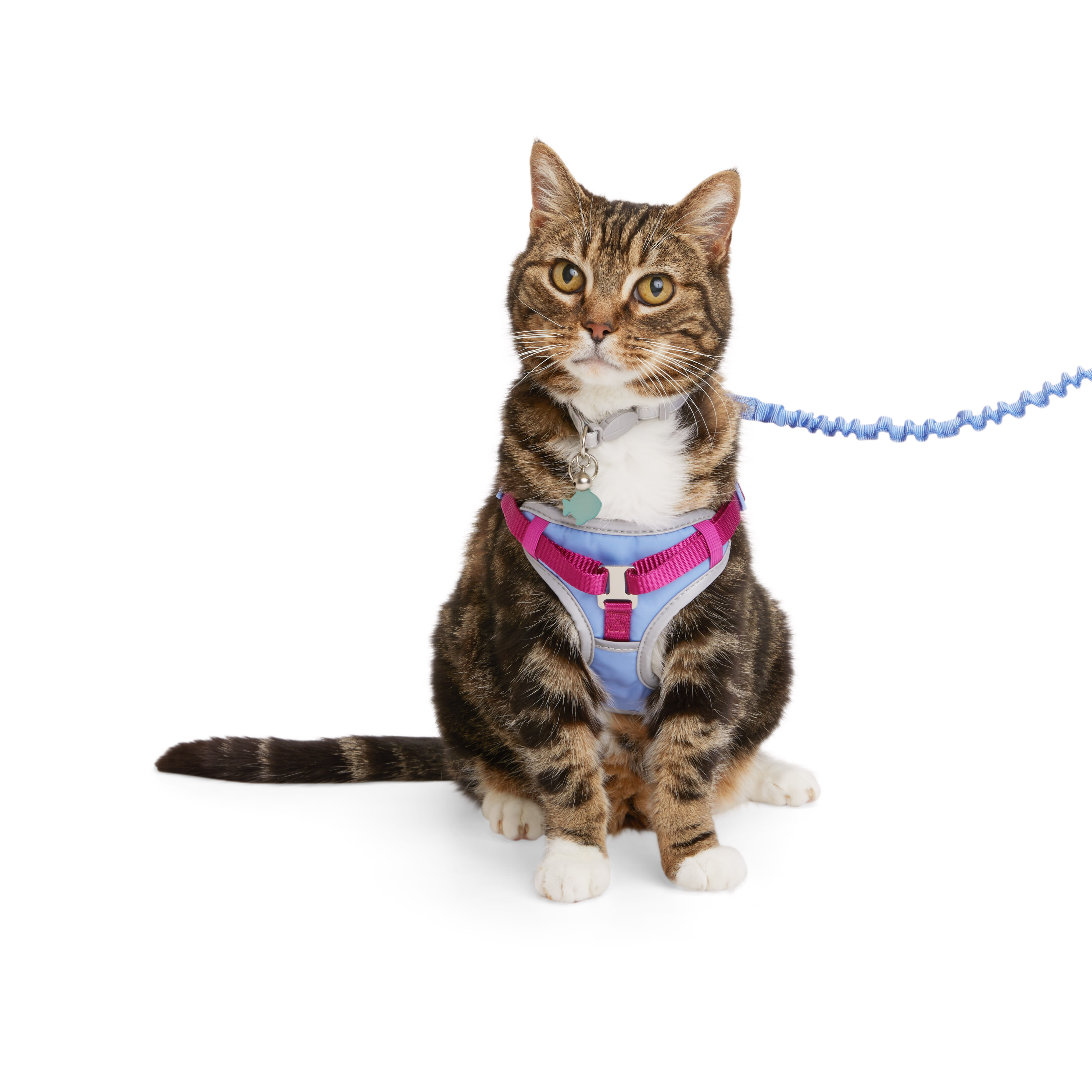 Supplies Cat Harness, Breathable Cat Harnesses