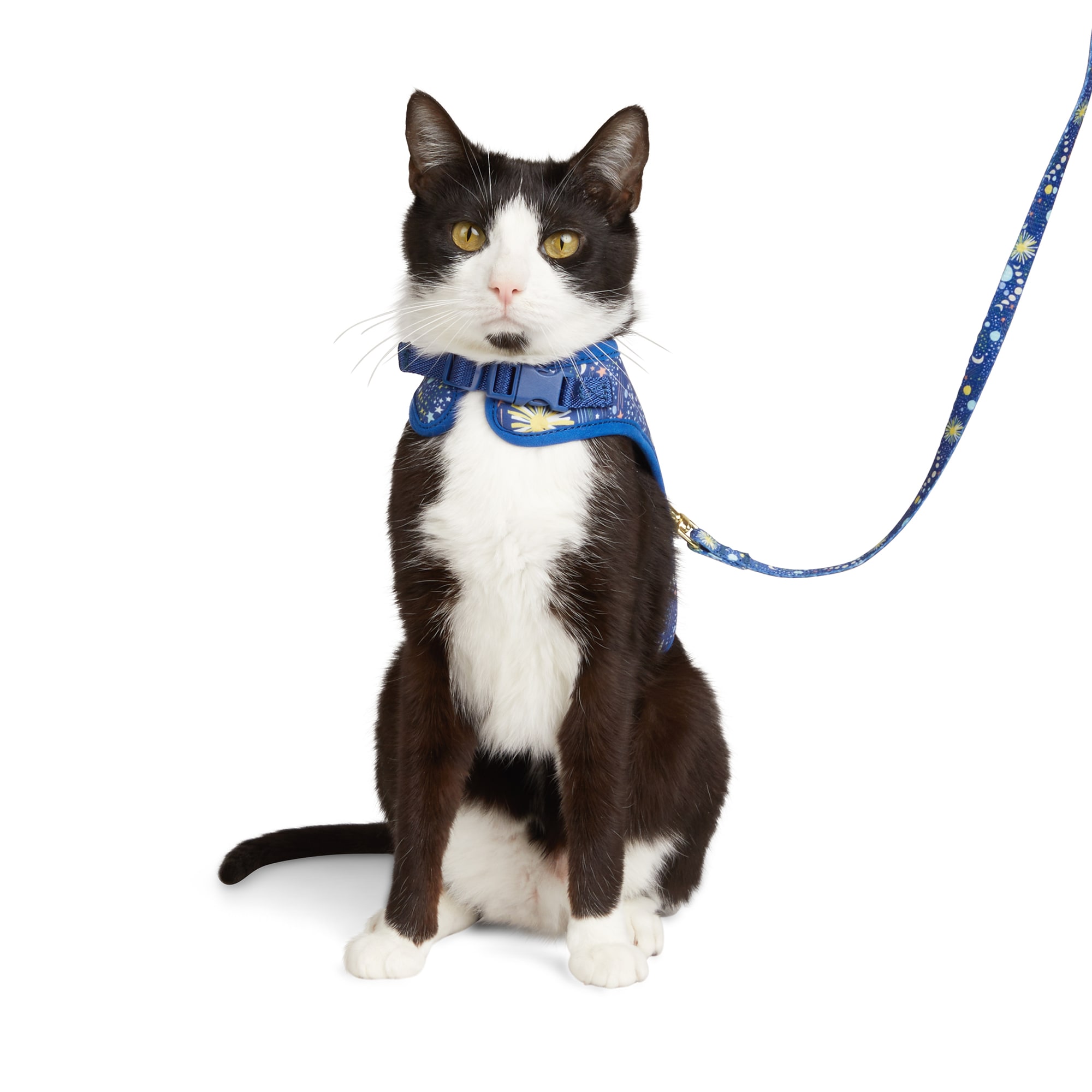 YOULY Celestial Cat Harness & Lead