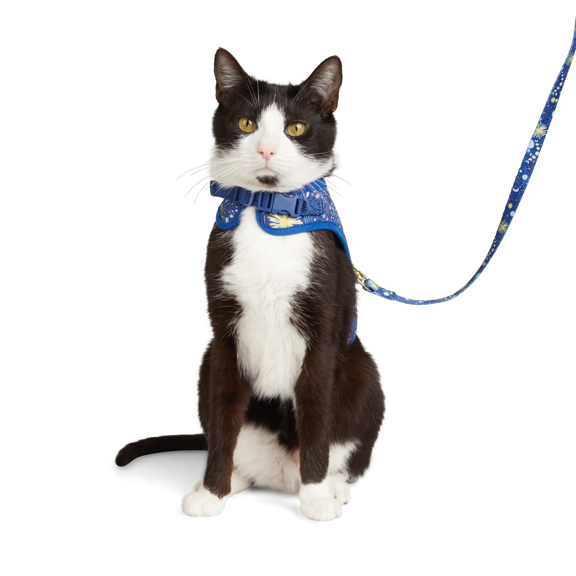 Cat collar shop and harness