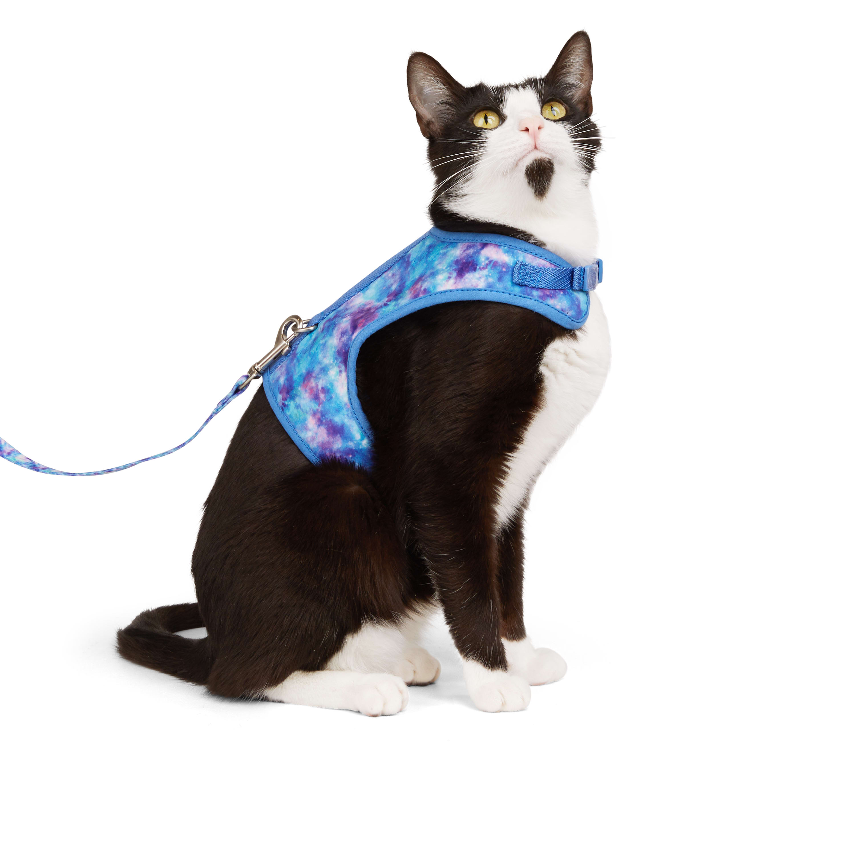 Blue hotsell cat harness