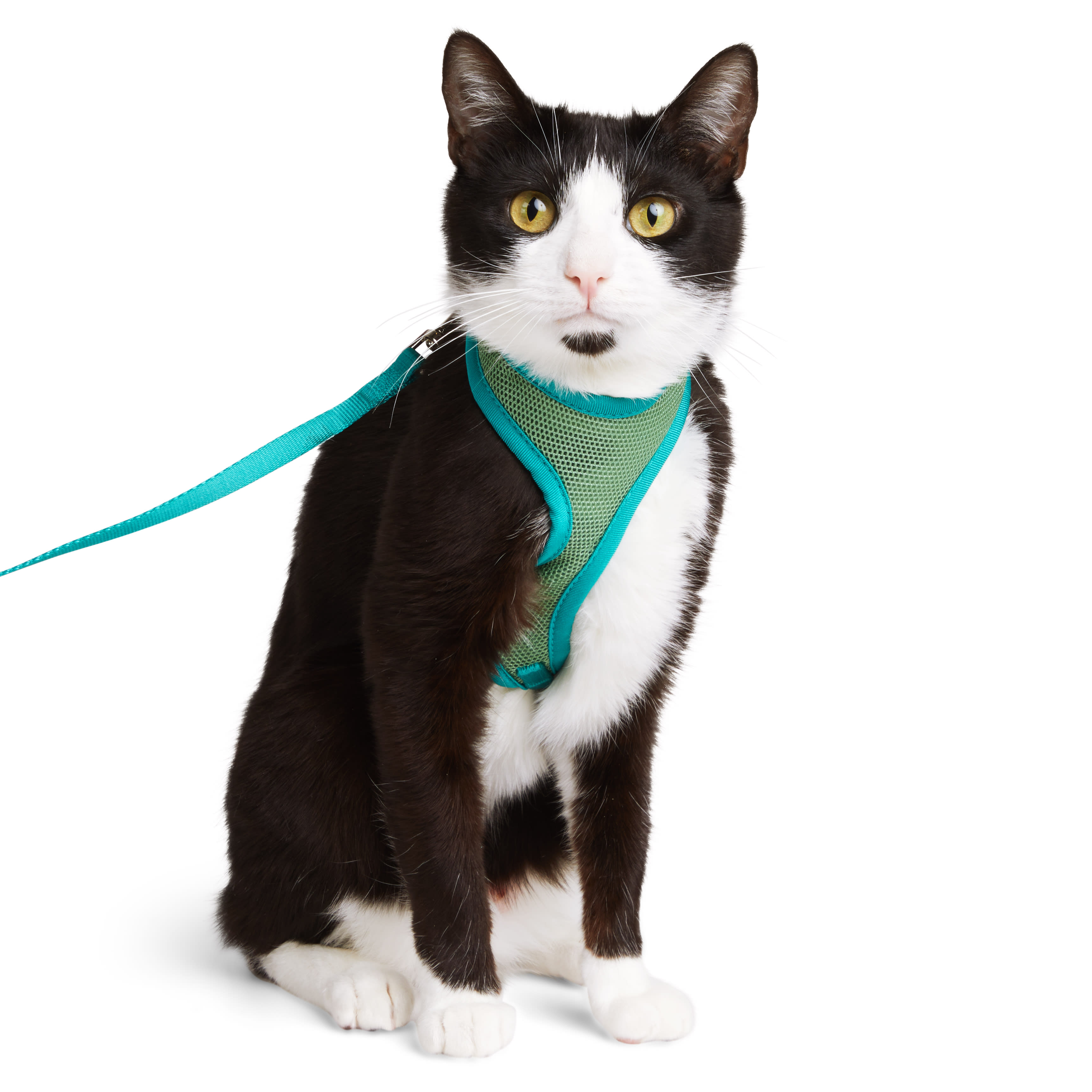 YOULY Green Cat Harness & Lead
