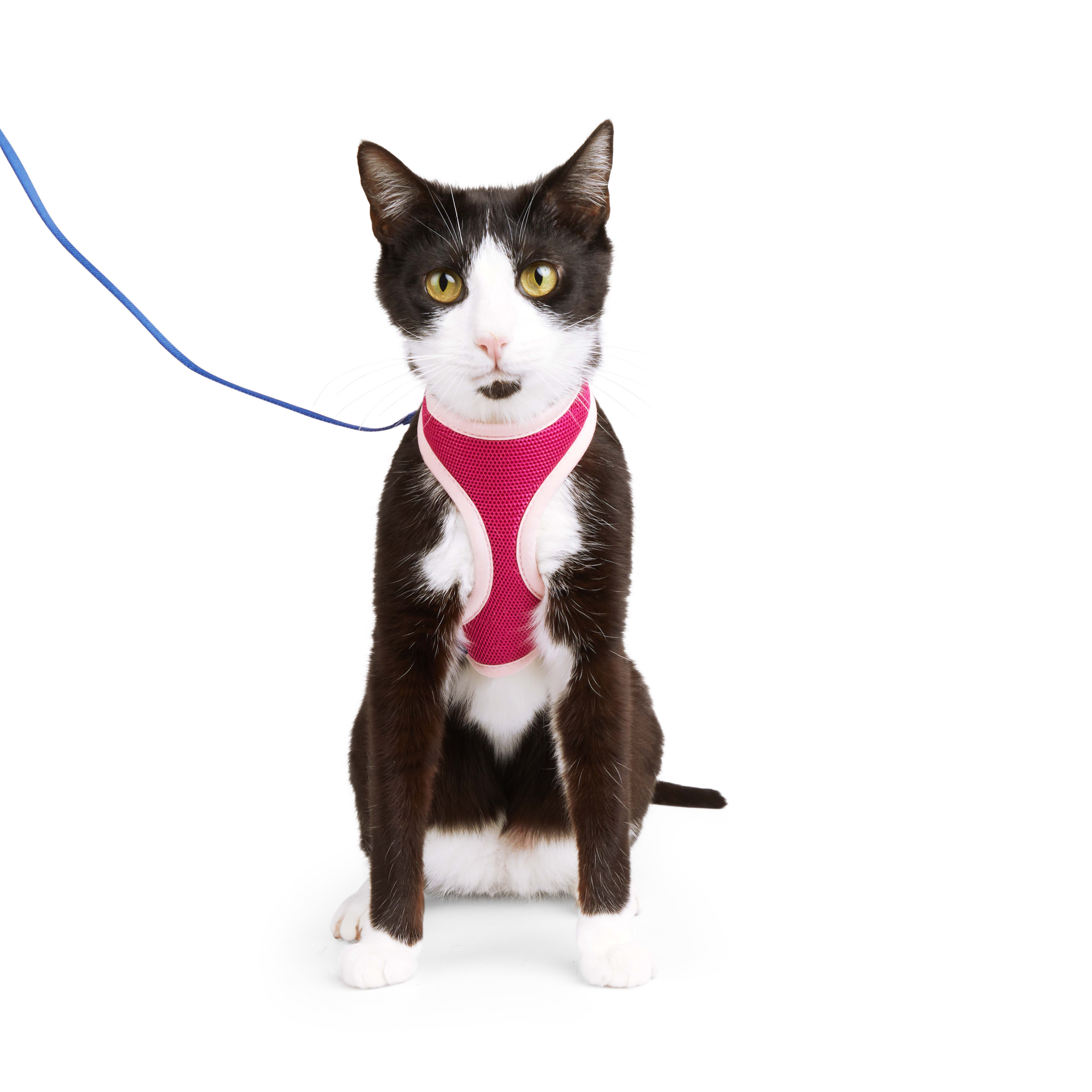 Whisker City Pink Cat Harnesses