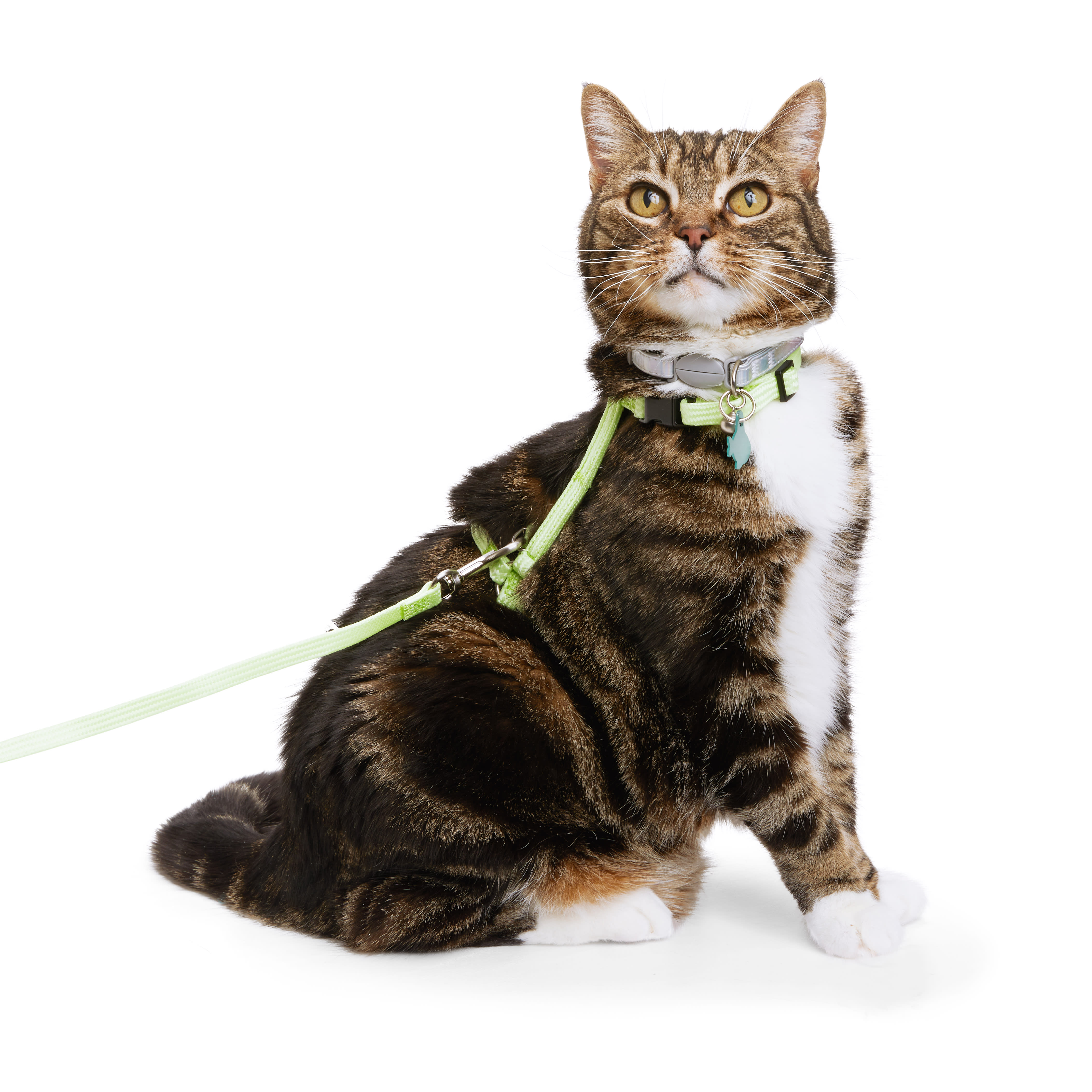 Whisker City® Green Plaid Cat Leash & Harness Combo