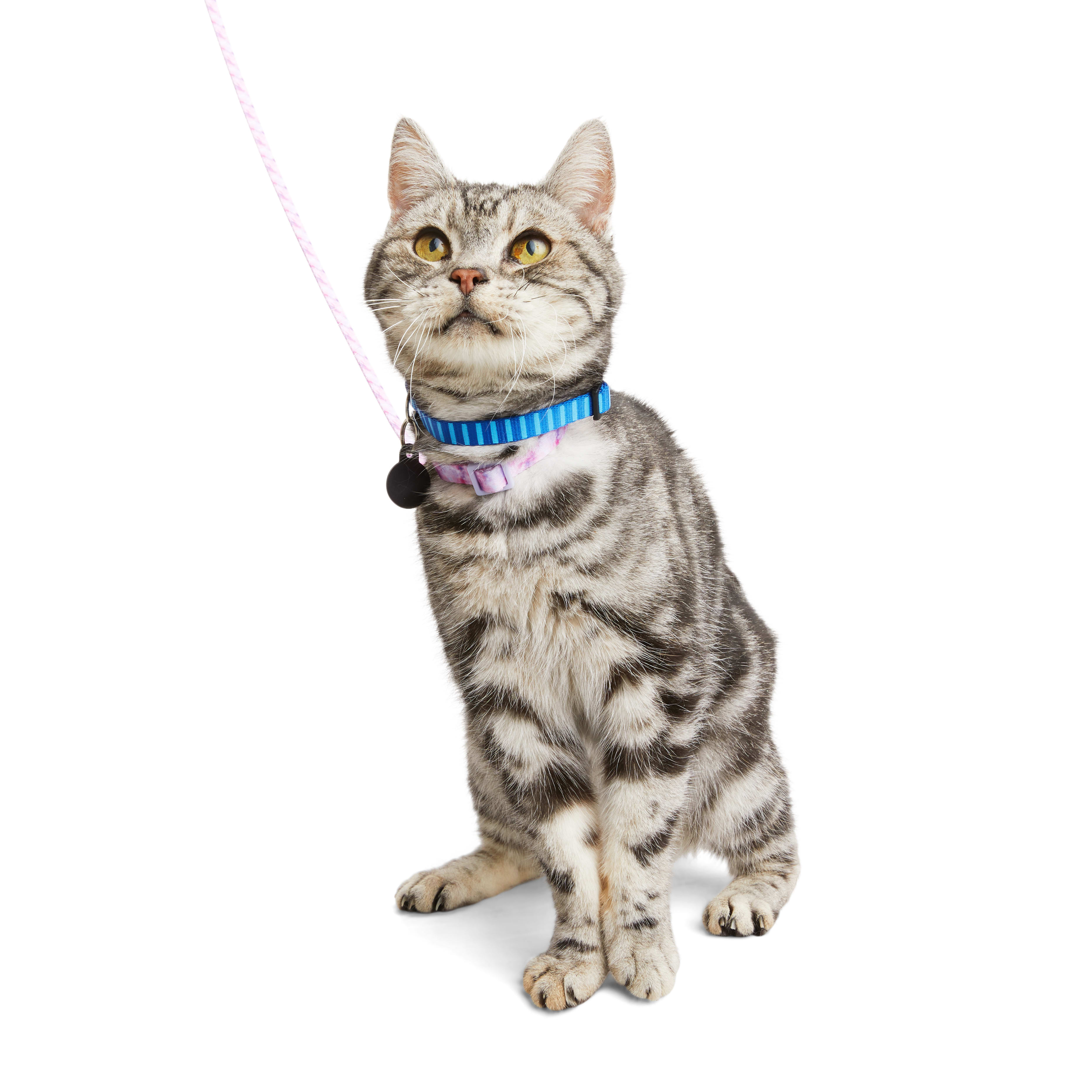 YOULY Galaxy Kitten Harness Leash Set Pink X Small