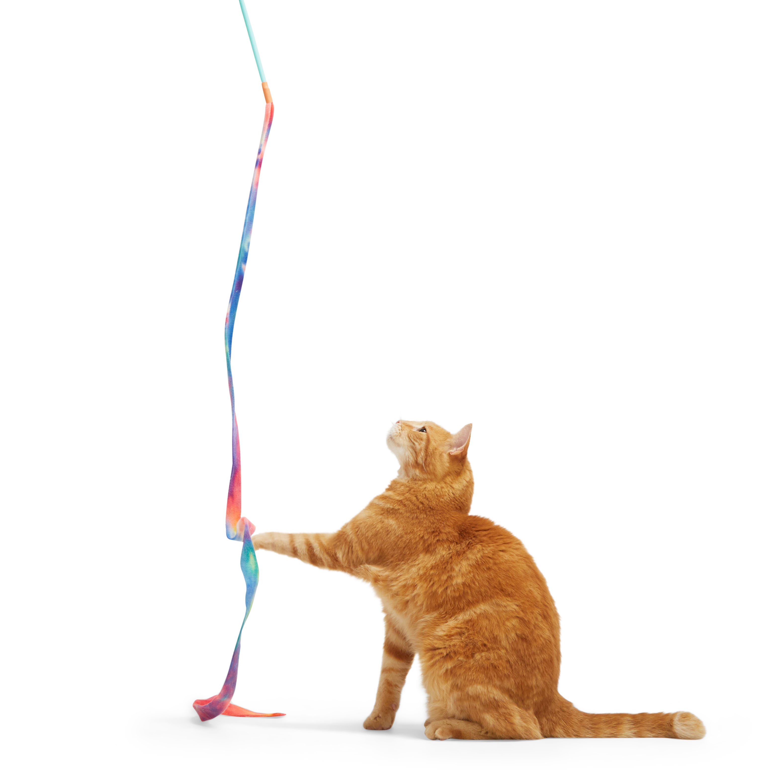 Leaps & Bounds Rainbow Teaser Cat Toy, X-Large