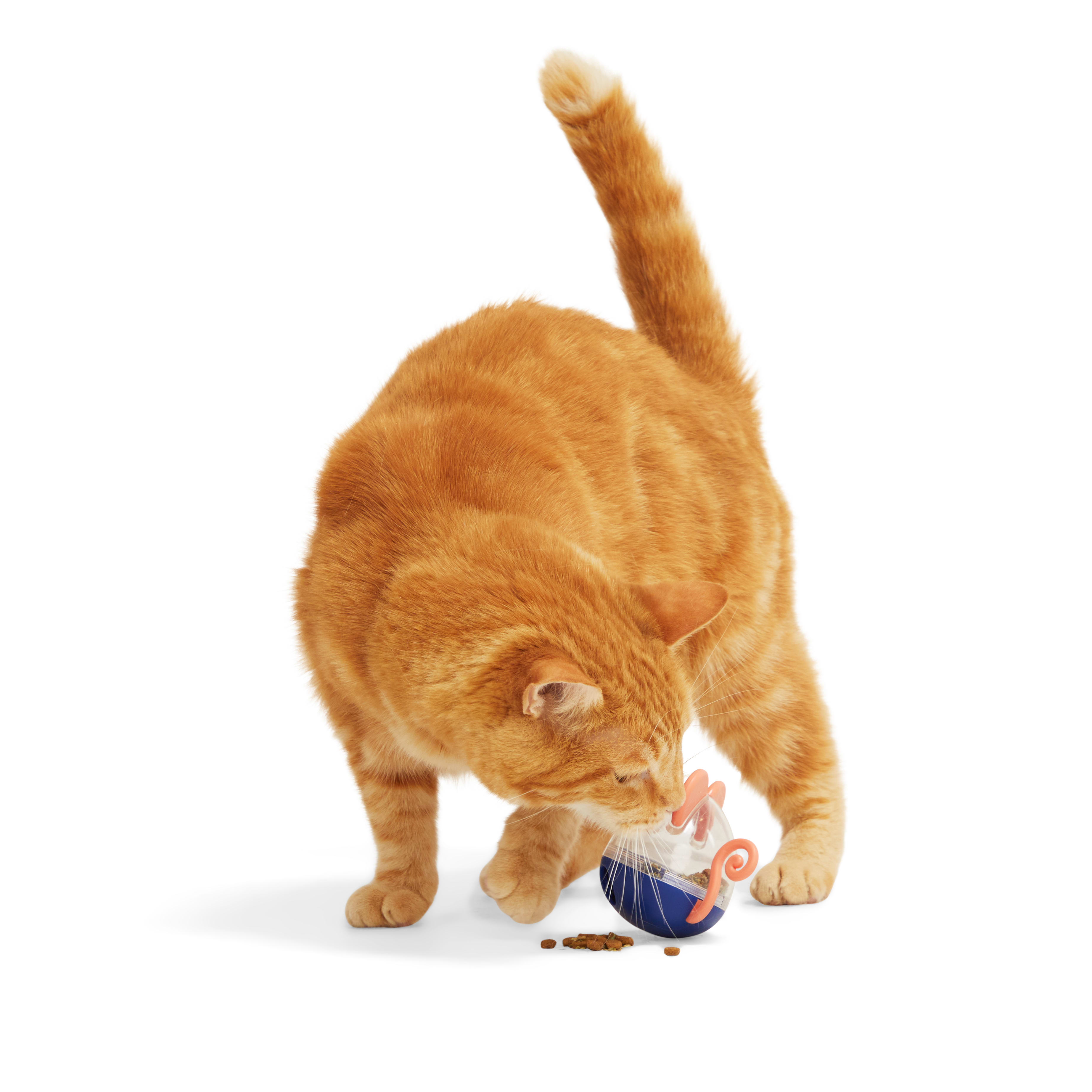 Interactive Treat Dispenser Cat Toy – Pet's Satisfaction
