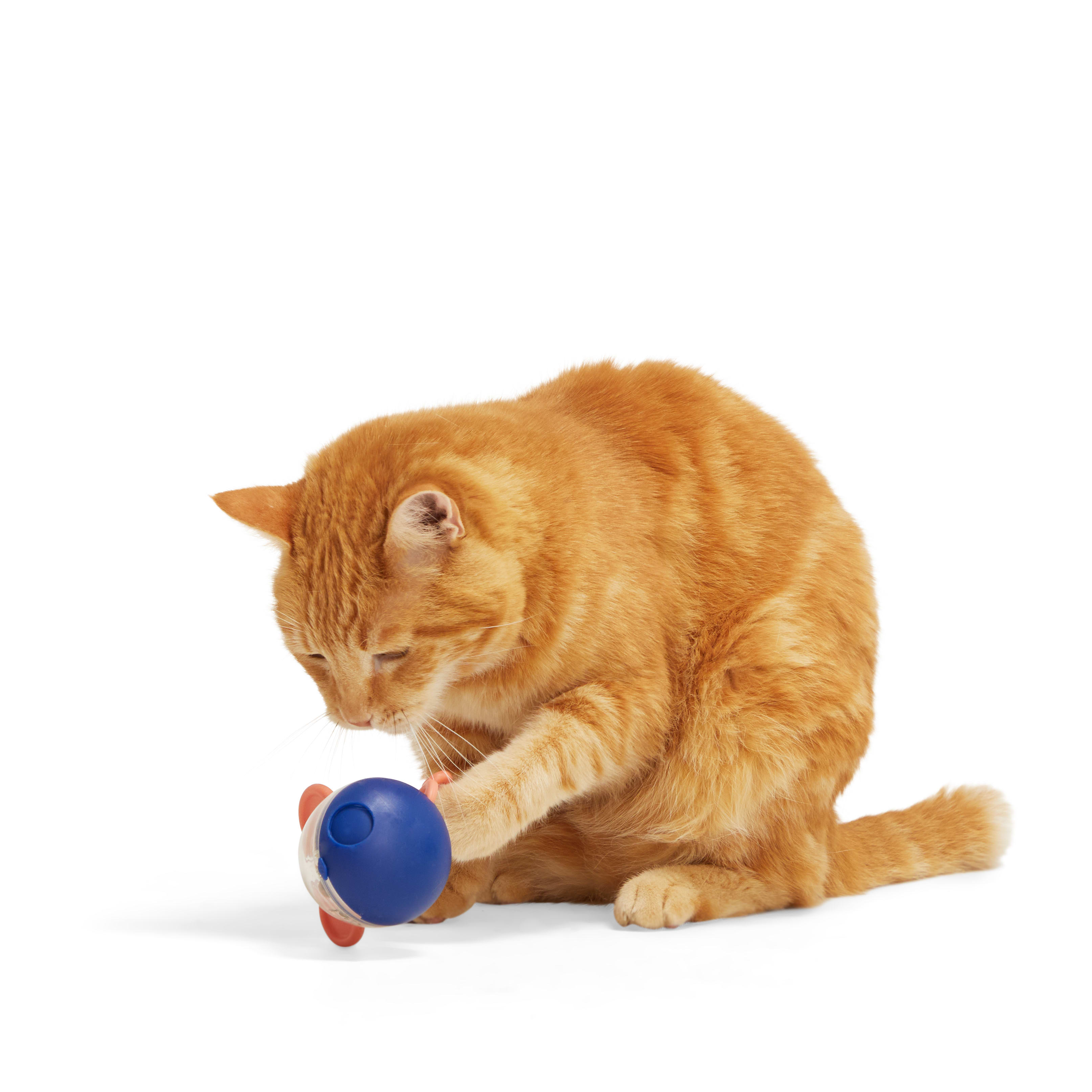 Interactive Treat Dispenser Cat Toy – Pet's Satisfaction