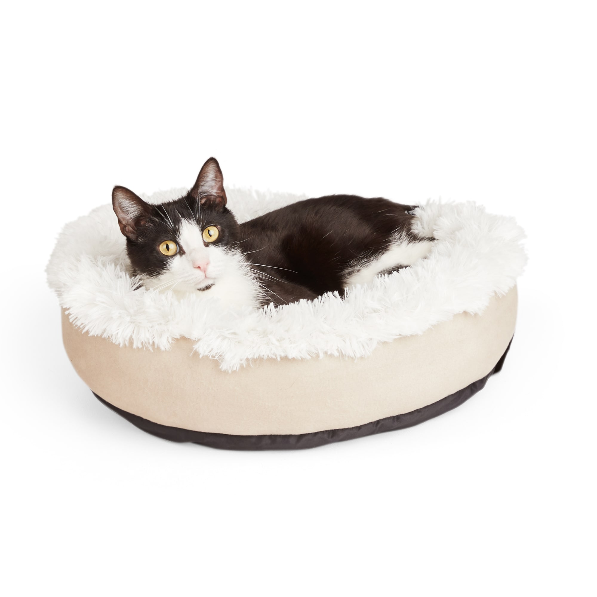 Fluffy cat outlet beds