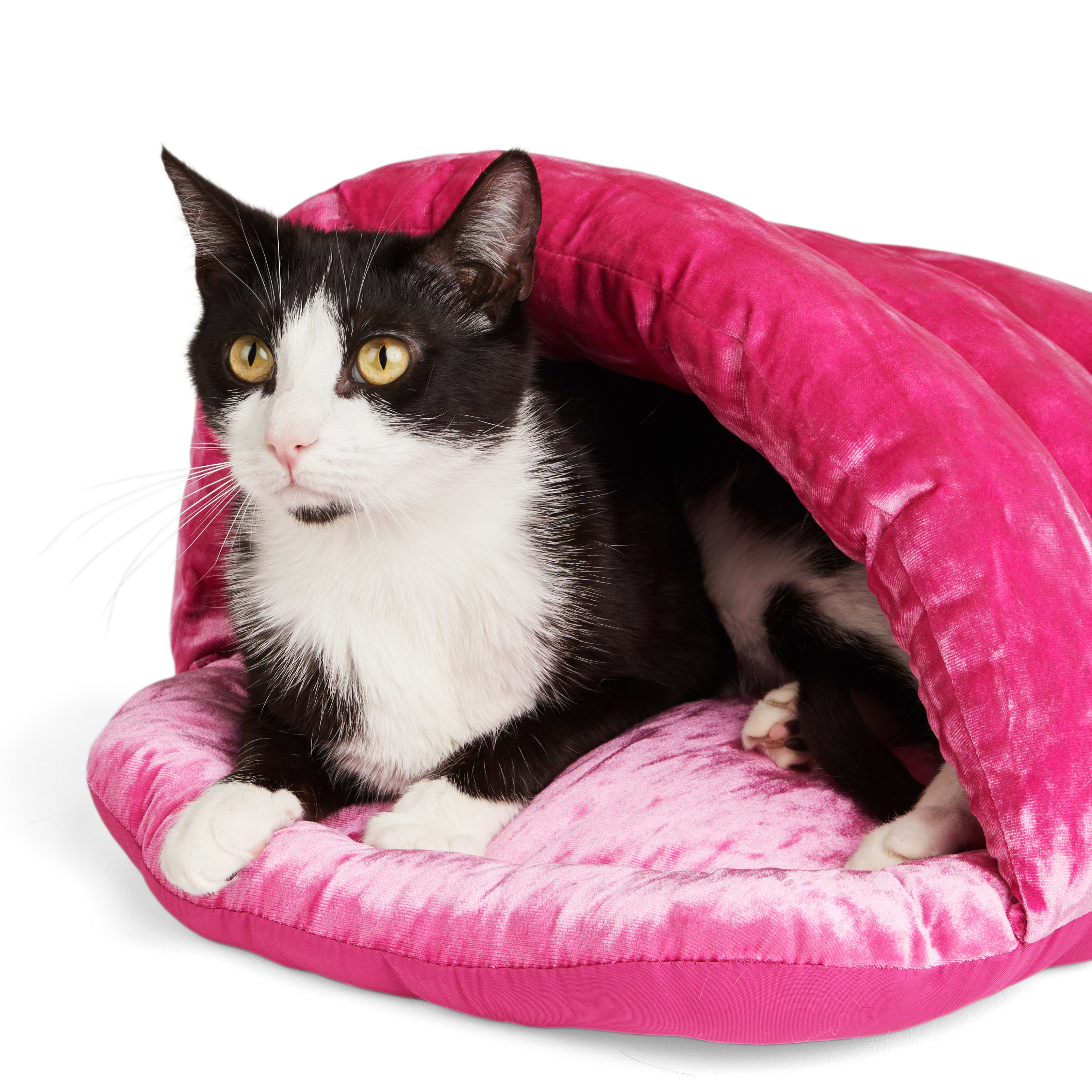 EveryYay Snooze Fest Straw Play Cave Cat Bed, 16.5 L X 14.2 W X 14.5 H