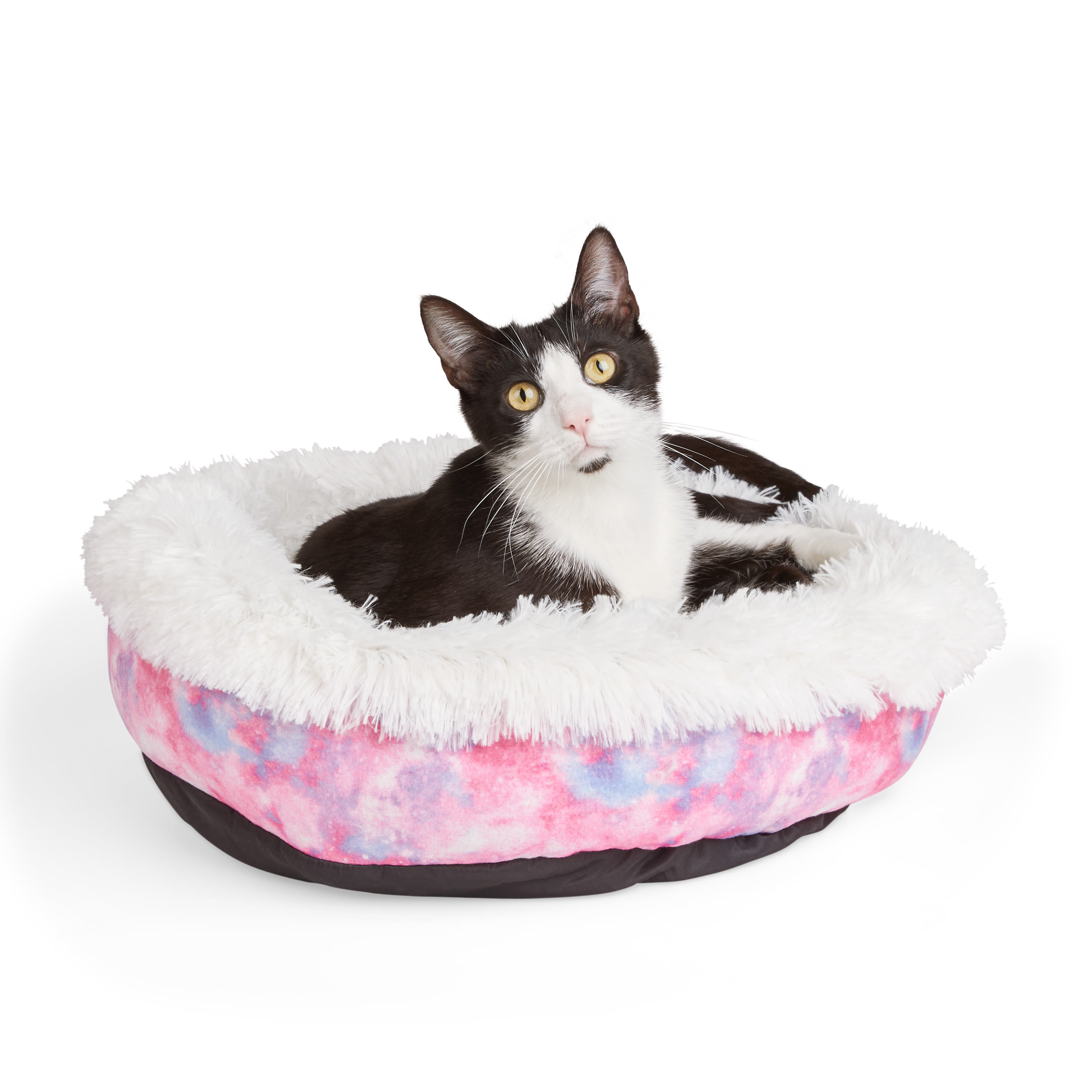 Harmony oval best sale cat bed