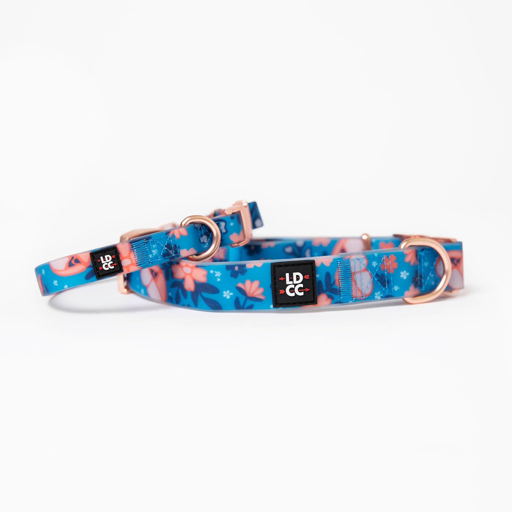 Plastic coated dog store collars