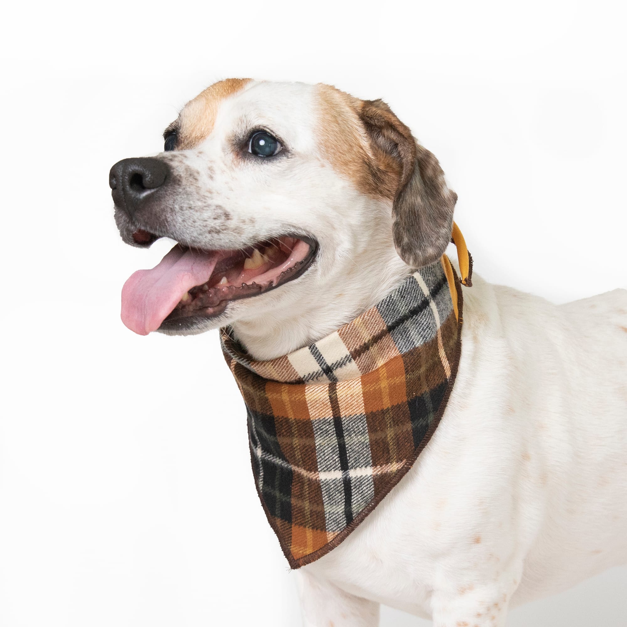 Long Dog Clothing Co. "The Hunter" Camouflage & Plaid Reversible Bandana  For Dogs, Medium | Petco