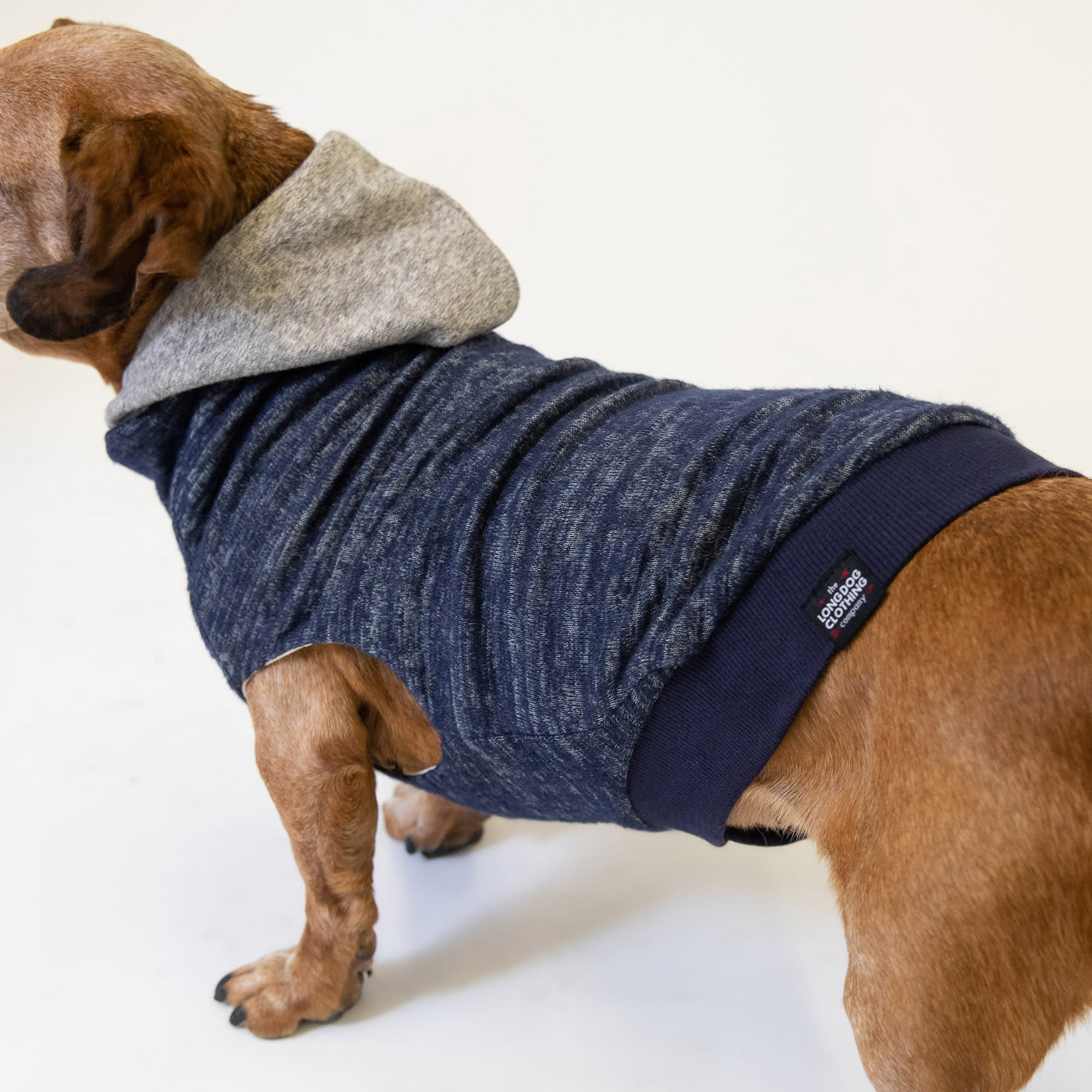 The long outlet dog clothing company