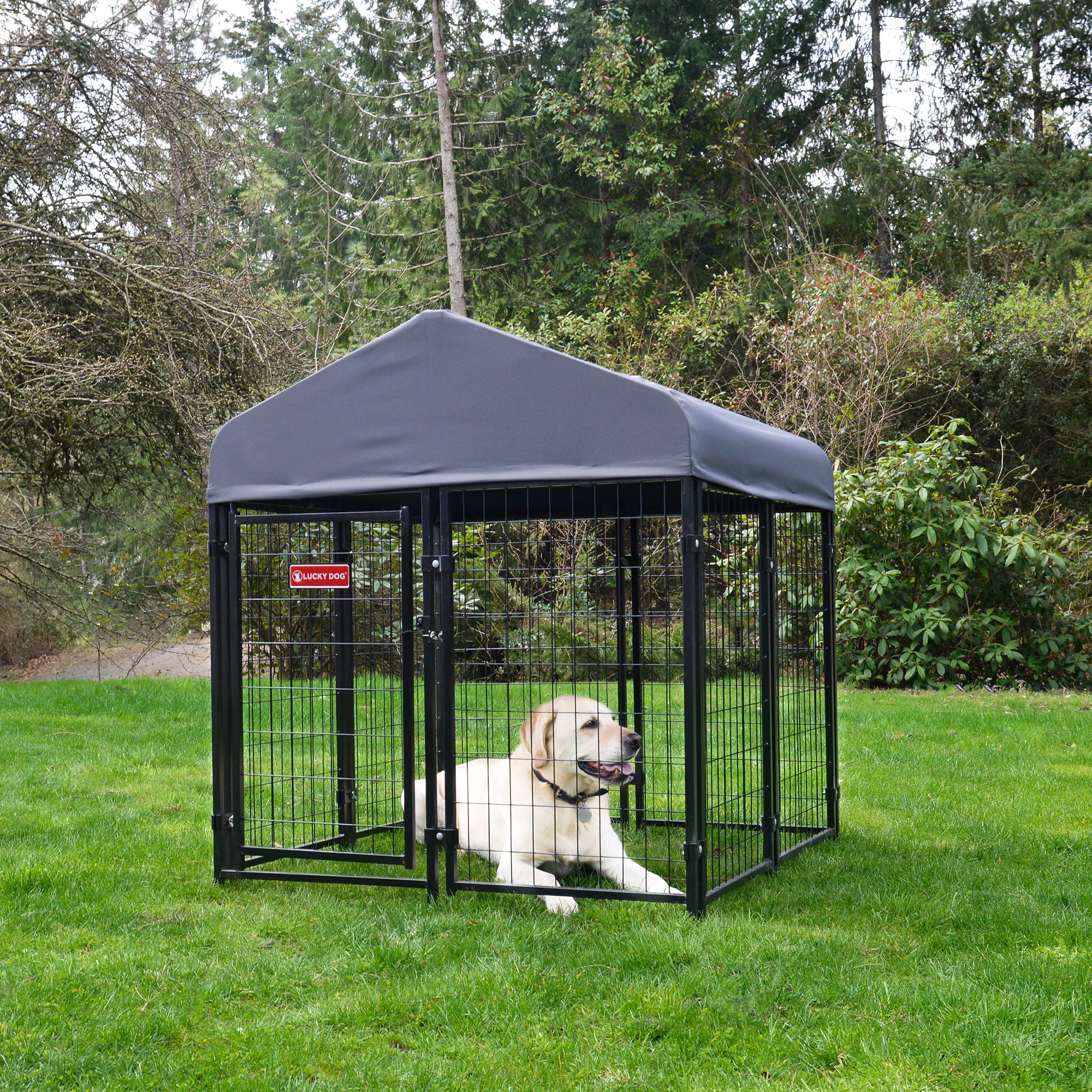 Petco outdoor dog kennel deals