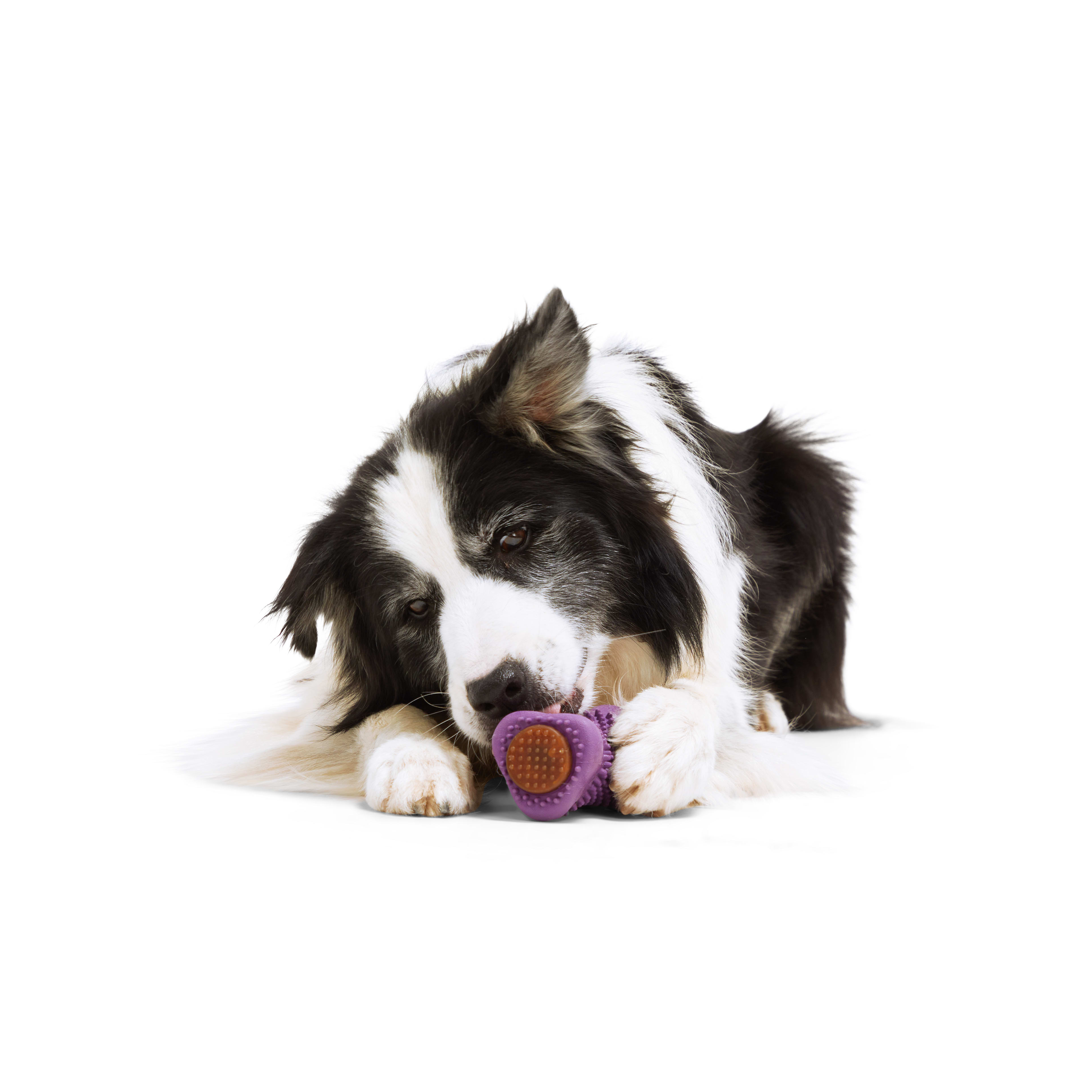 Leaps & Bounds Tube Treat Dog Toy, Small