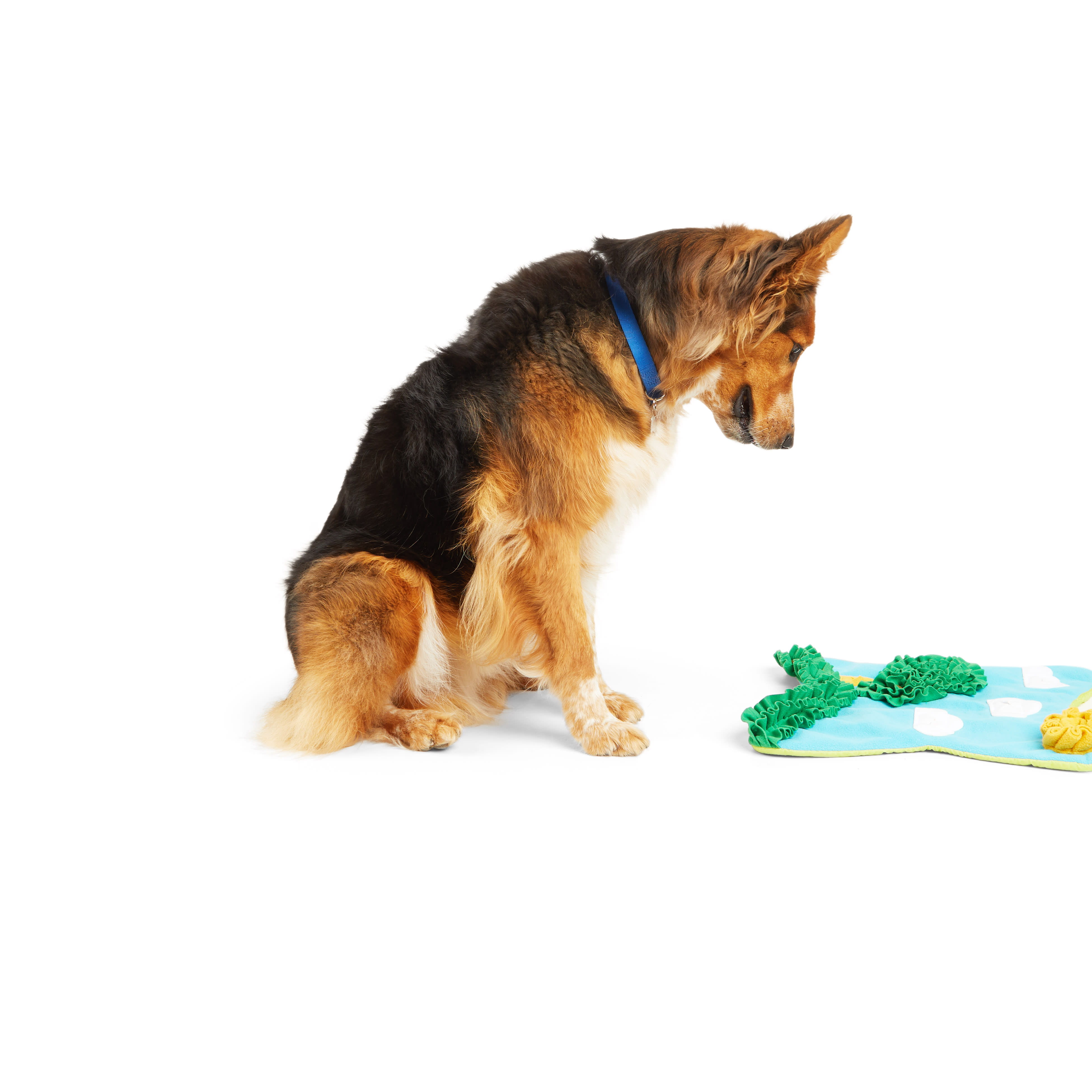 Interactive Dog Toys, Small Dog Snuffle Mat, Washable Dog Snuffle Mat, Dog  Puzzle Toys, Puppy And Cat Toys (32 * 32 Cm)