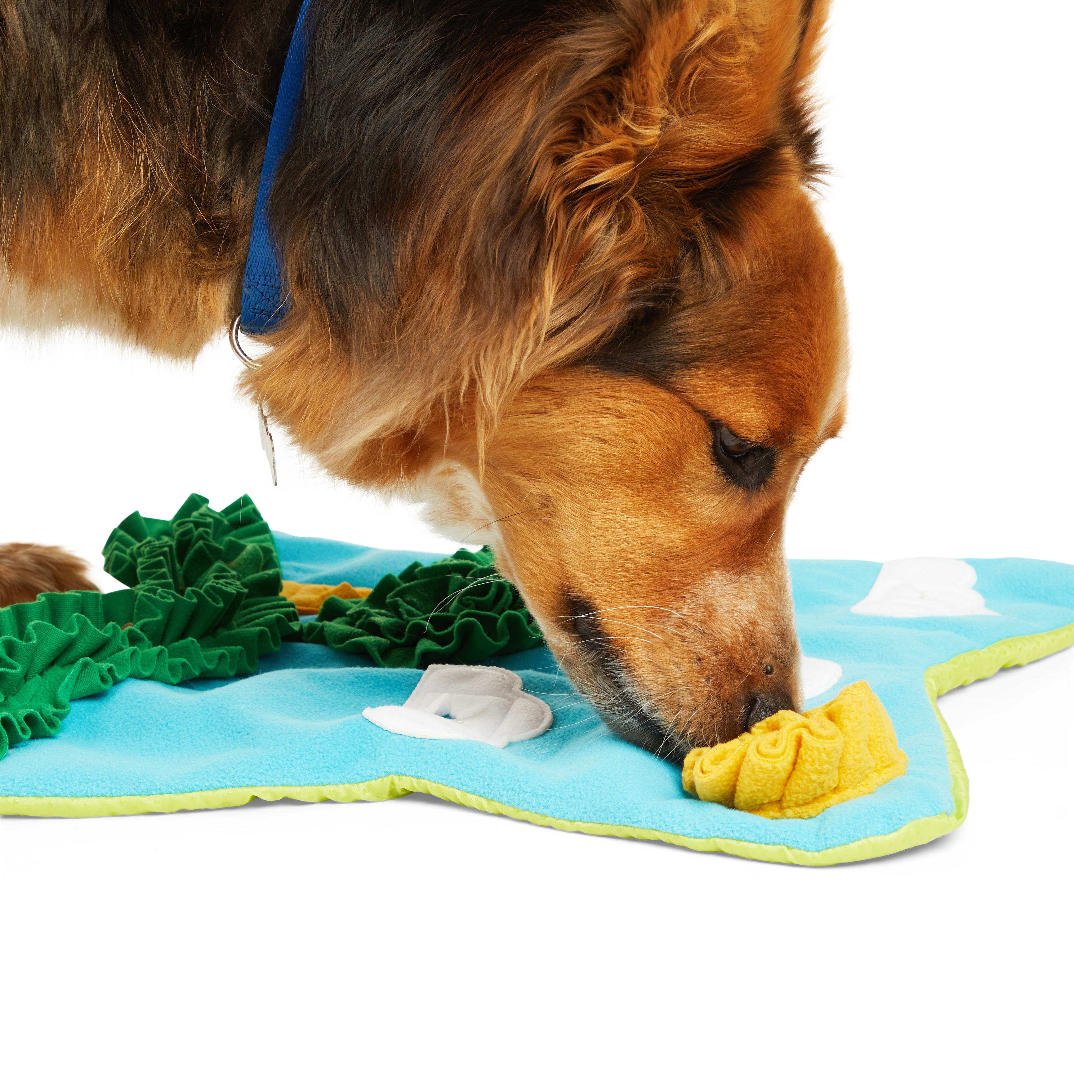 Large Snuffle Snake Interactive Dog Puzzle Long Lasting Treat Finding  Activity for Medium-large Dogs & Puppies Dog Gift Ideas 