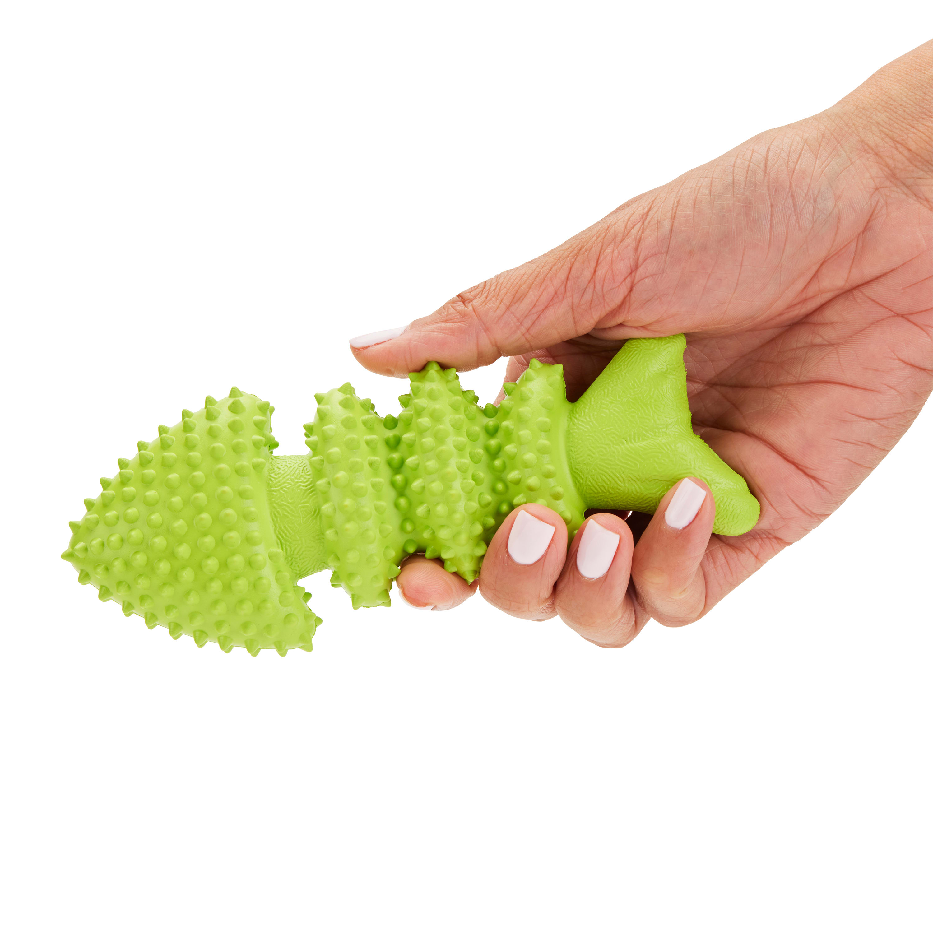 Leaps & Bounds Rubber Fish Medium Dog Toy | Petco