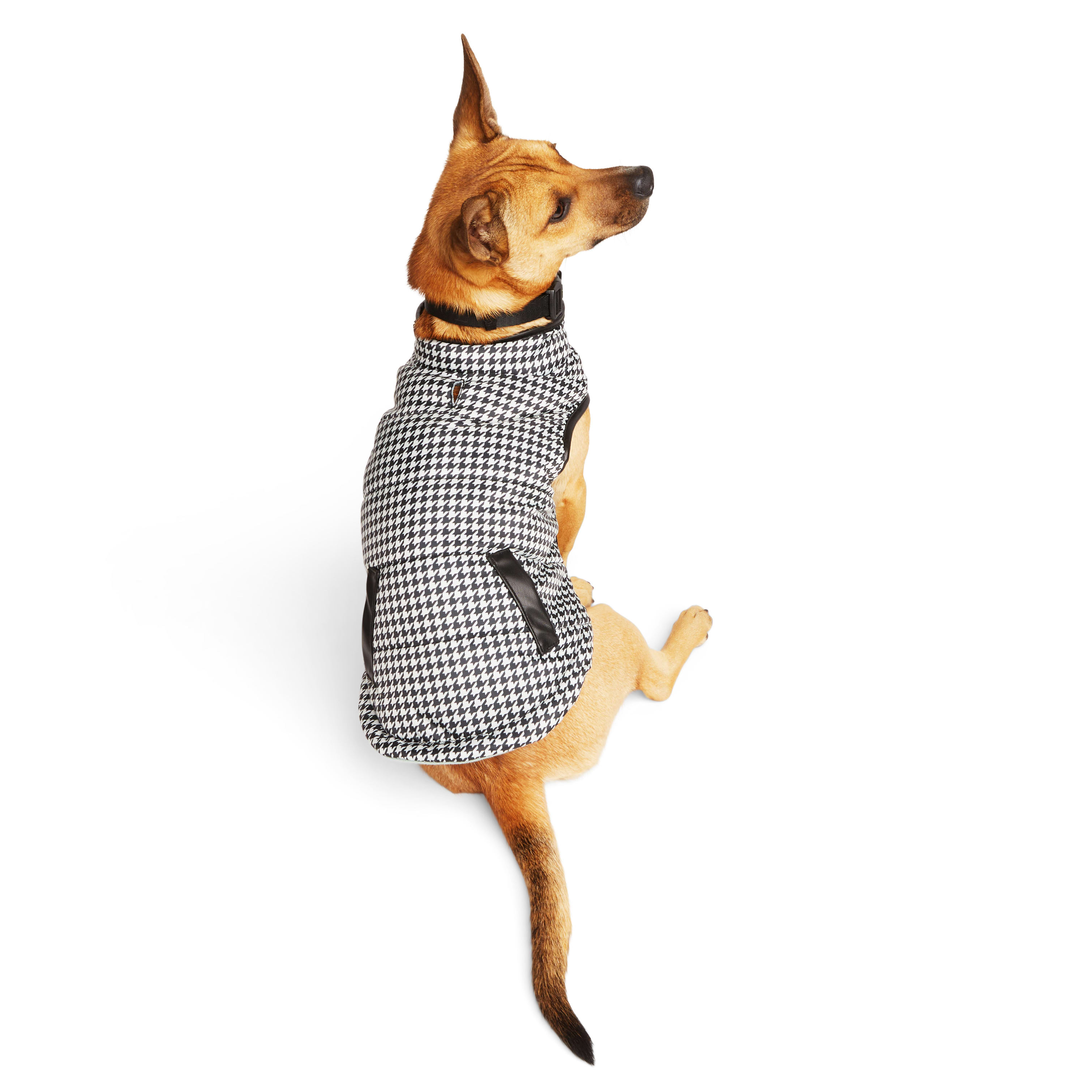 Pawcci GG monogram Designer Dog Vest with Hat