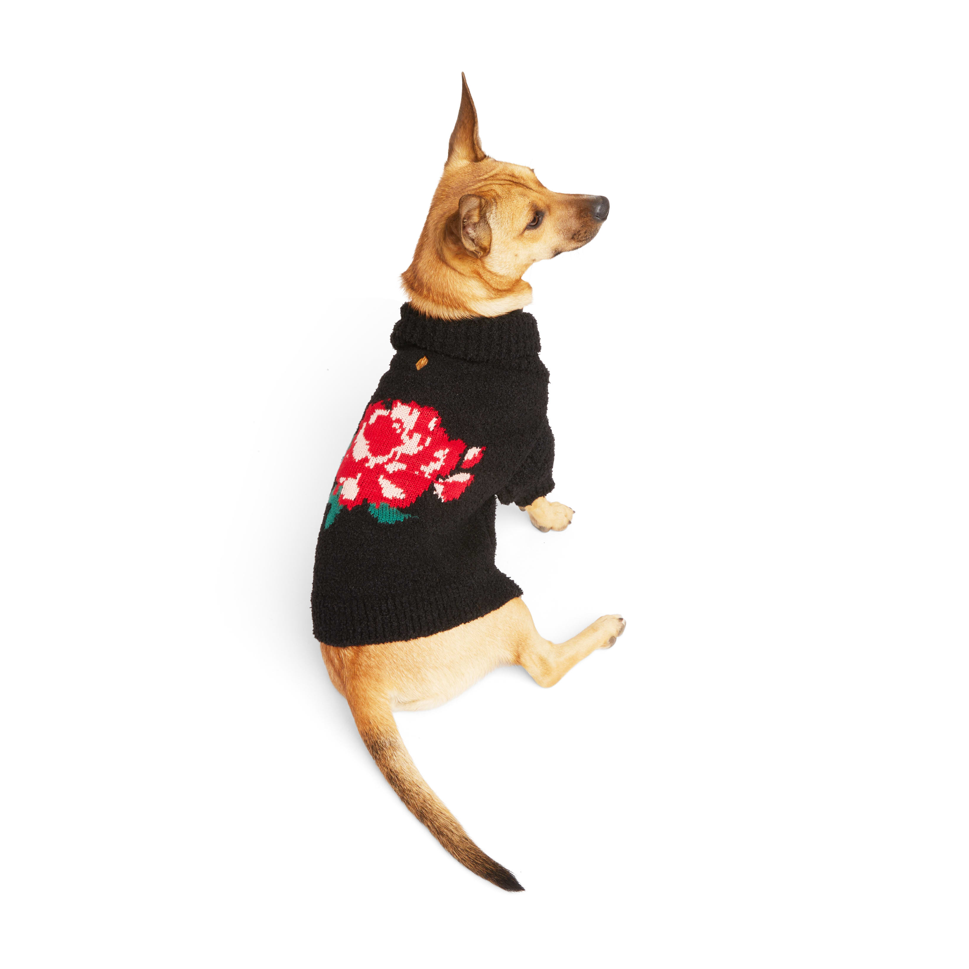 Petco best sale dog sweaters