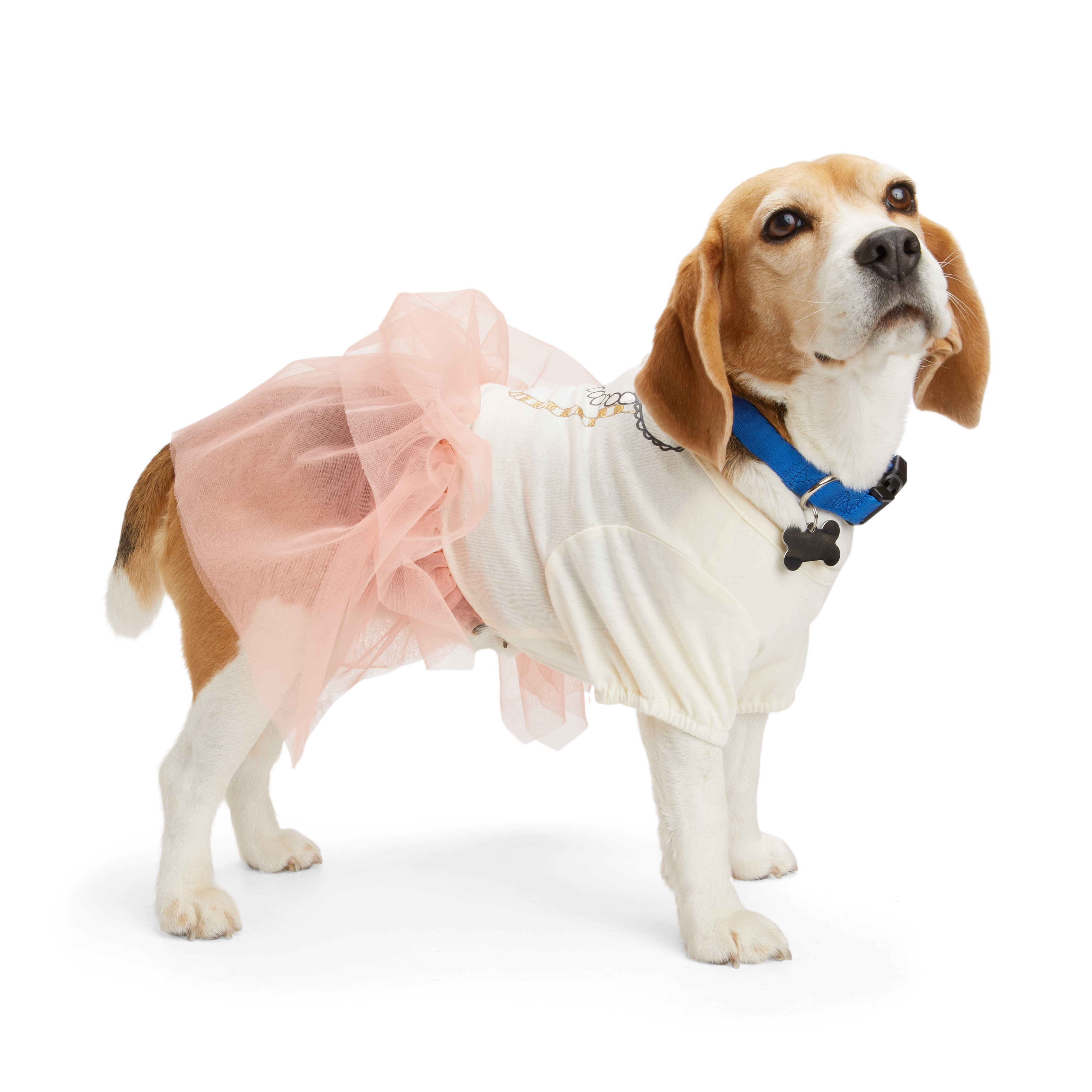 YOULY Tulle Tiered Dog Dress, XX-Small