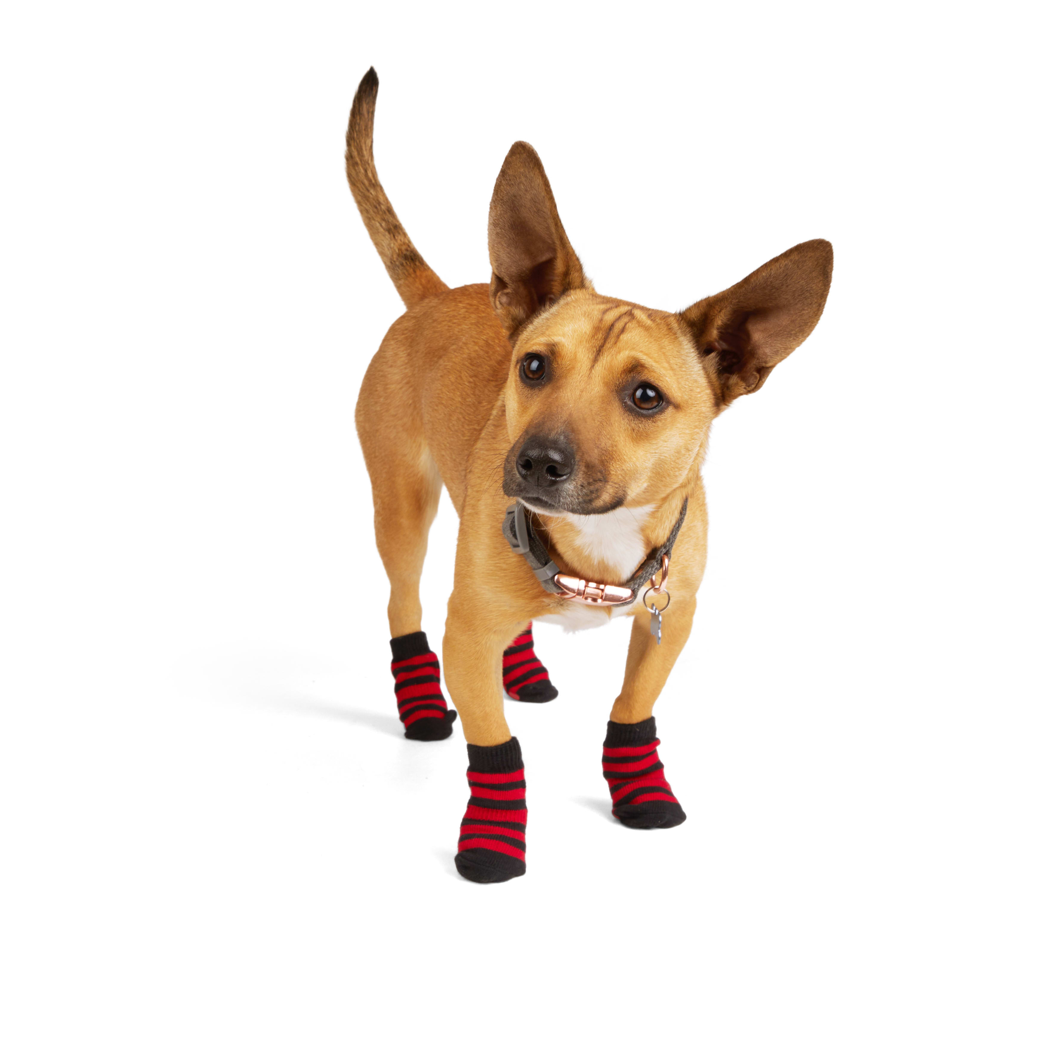 Christmas Dog Socks At Petco POPSUGAR Pets