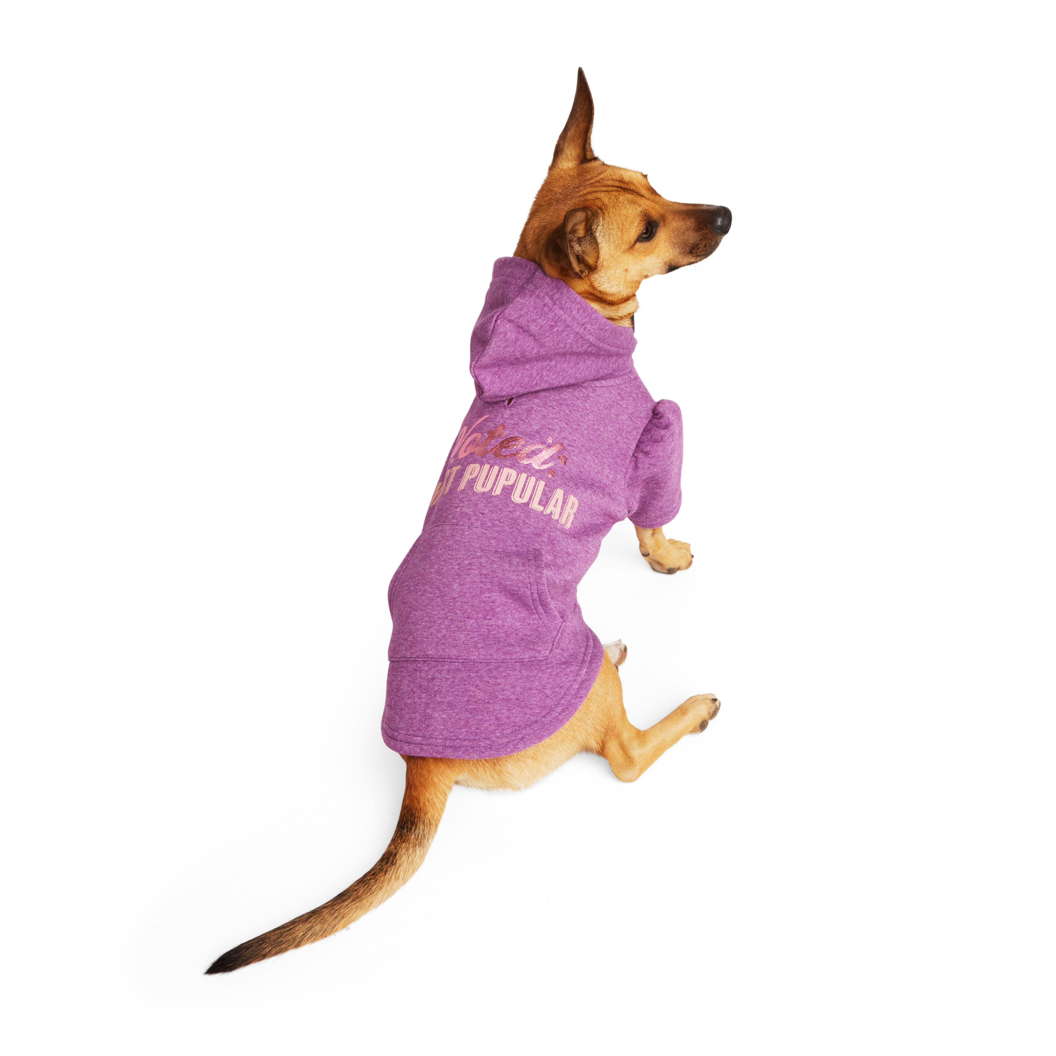 Petco best sale dog sweatshirt