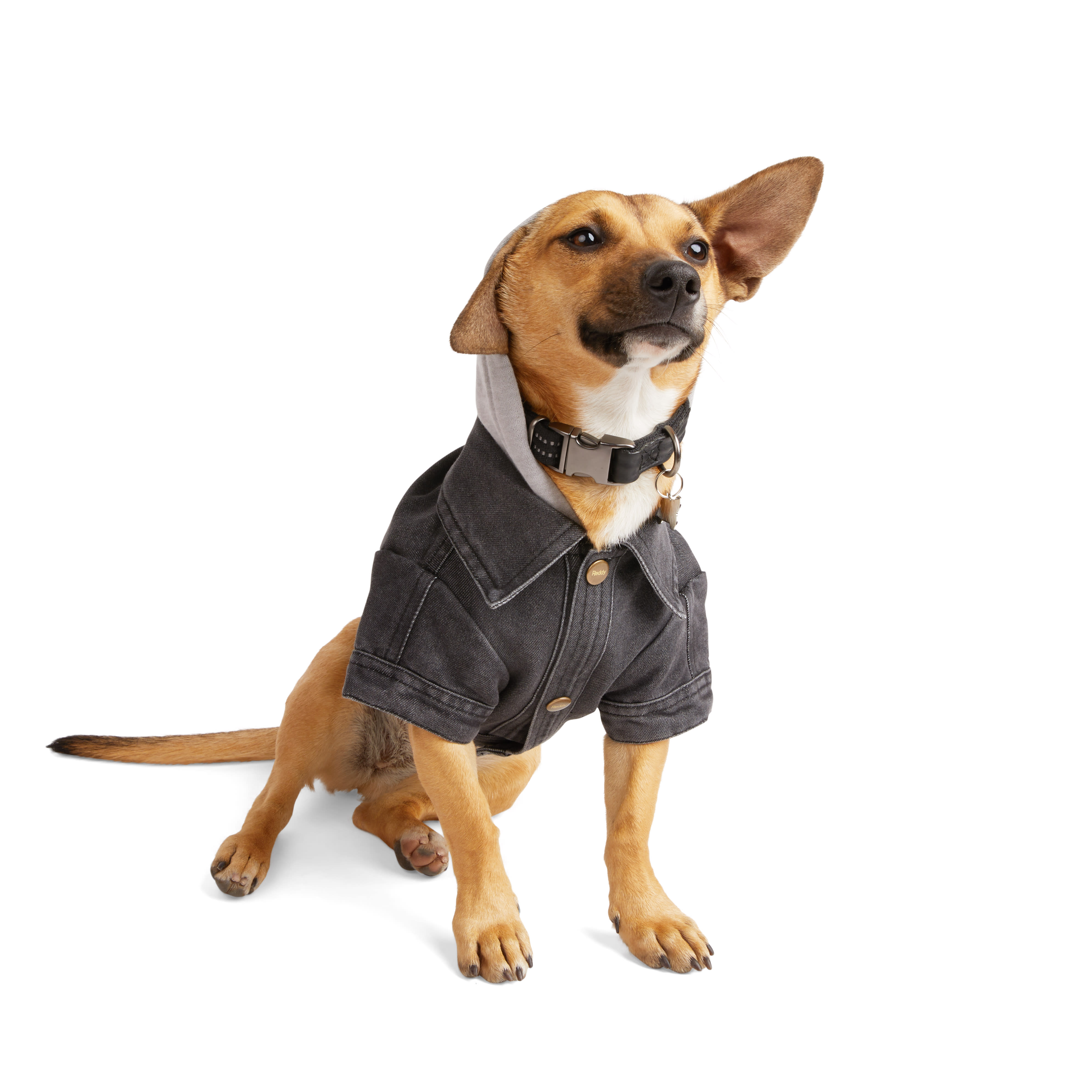 Chewy V Denim Dog Jacket  Trendy Outerwear for Your Pet