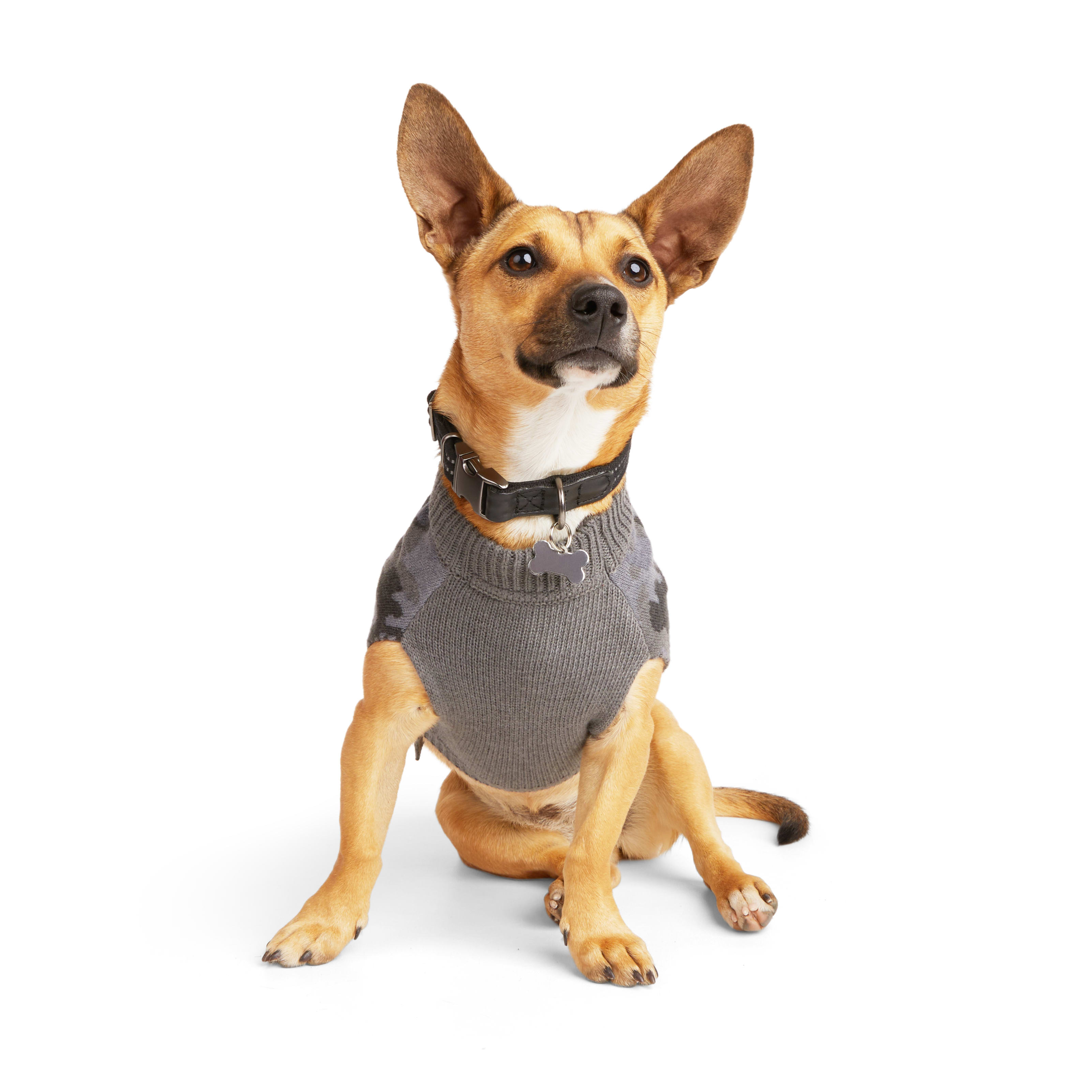 Reddy Camo Dog Sweater, Small Petco