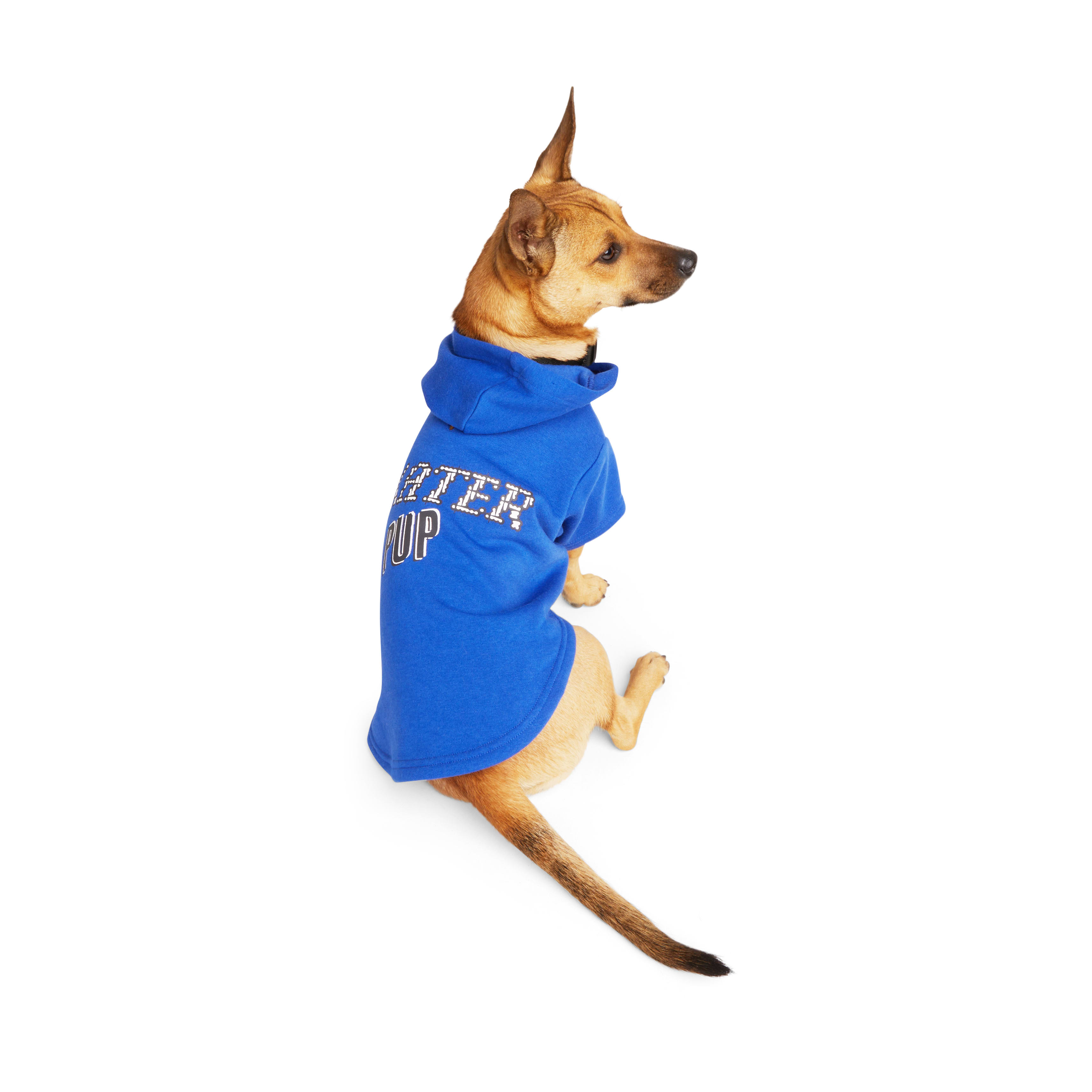 : PATKAW Cowboys Sweatshirt Puppy Clothes Puppy Hoodie Cowboys  Hoodie Pullover Hoodie Dog Denim Coat Dog Apparel Jacket Pet Jeans Big Dog  White Spring and Summer Pet Spring Suit : Pet