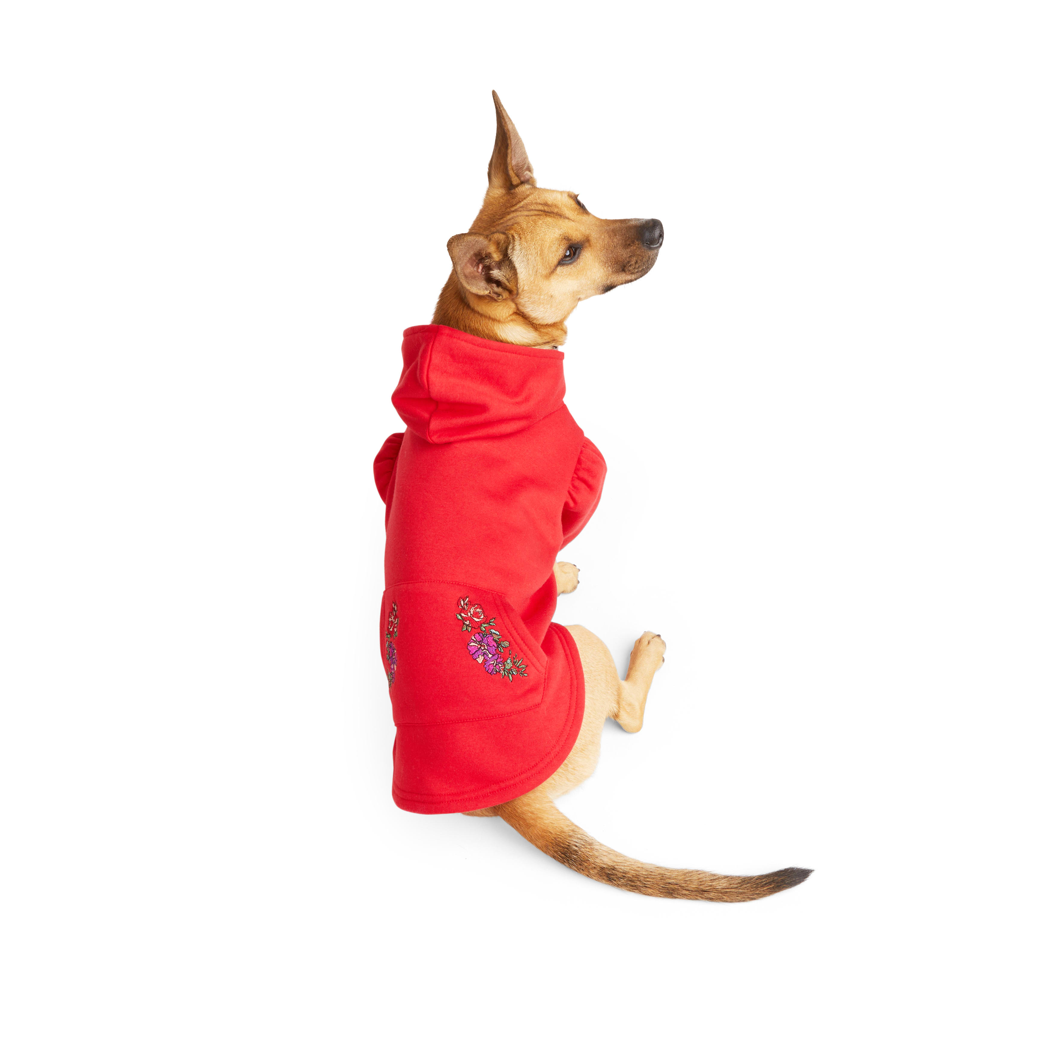 Petco best sale dog sweatshirt