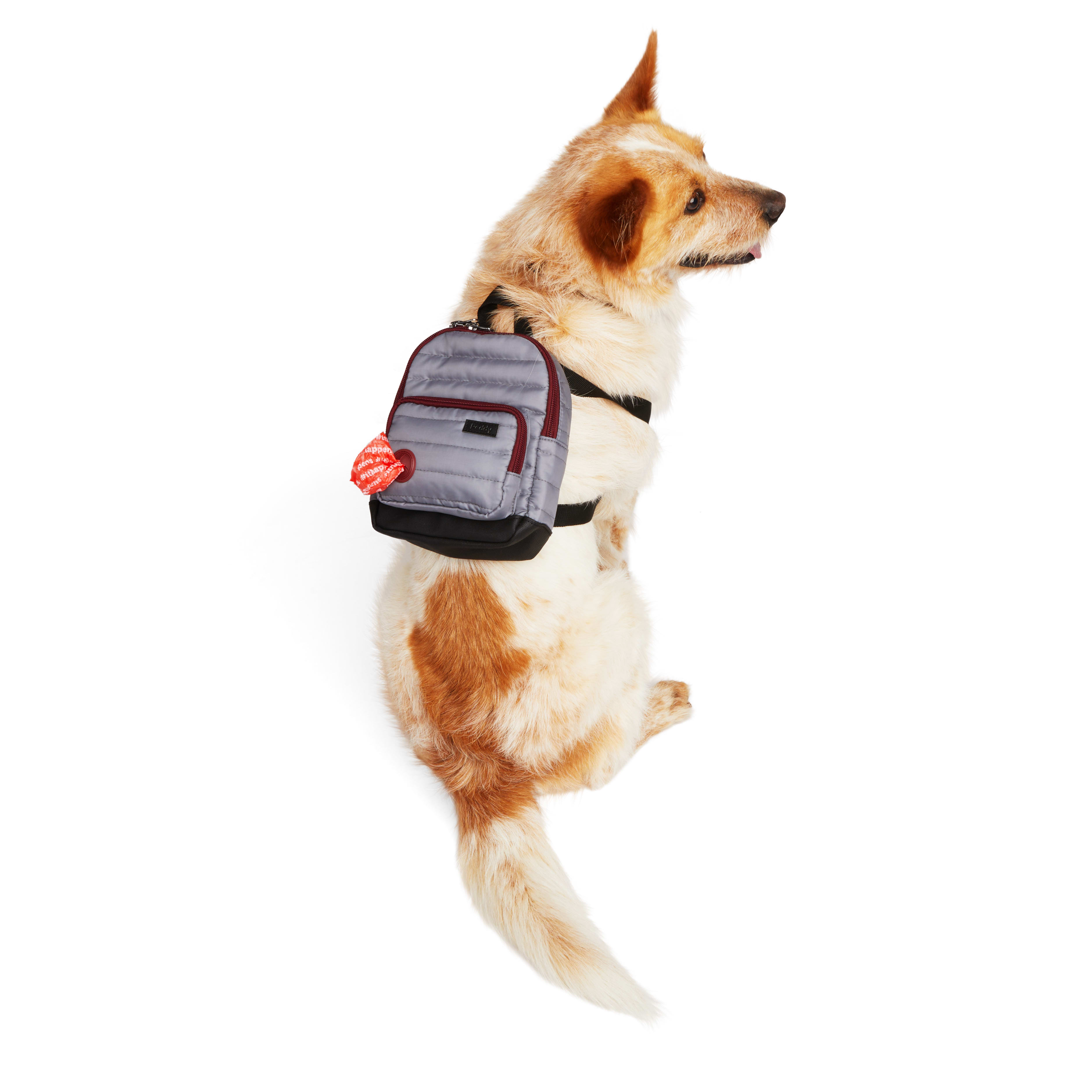 Reddy Quilted Dog Backpack, XSmall/Small Petco