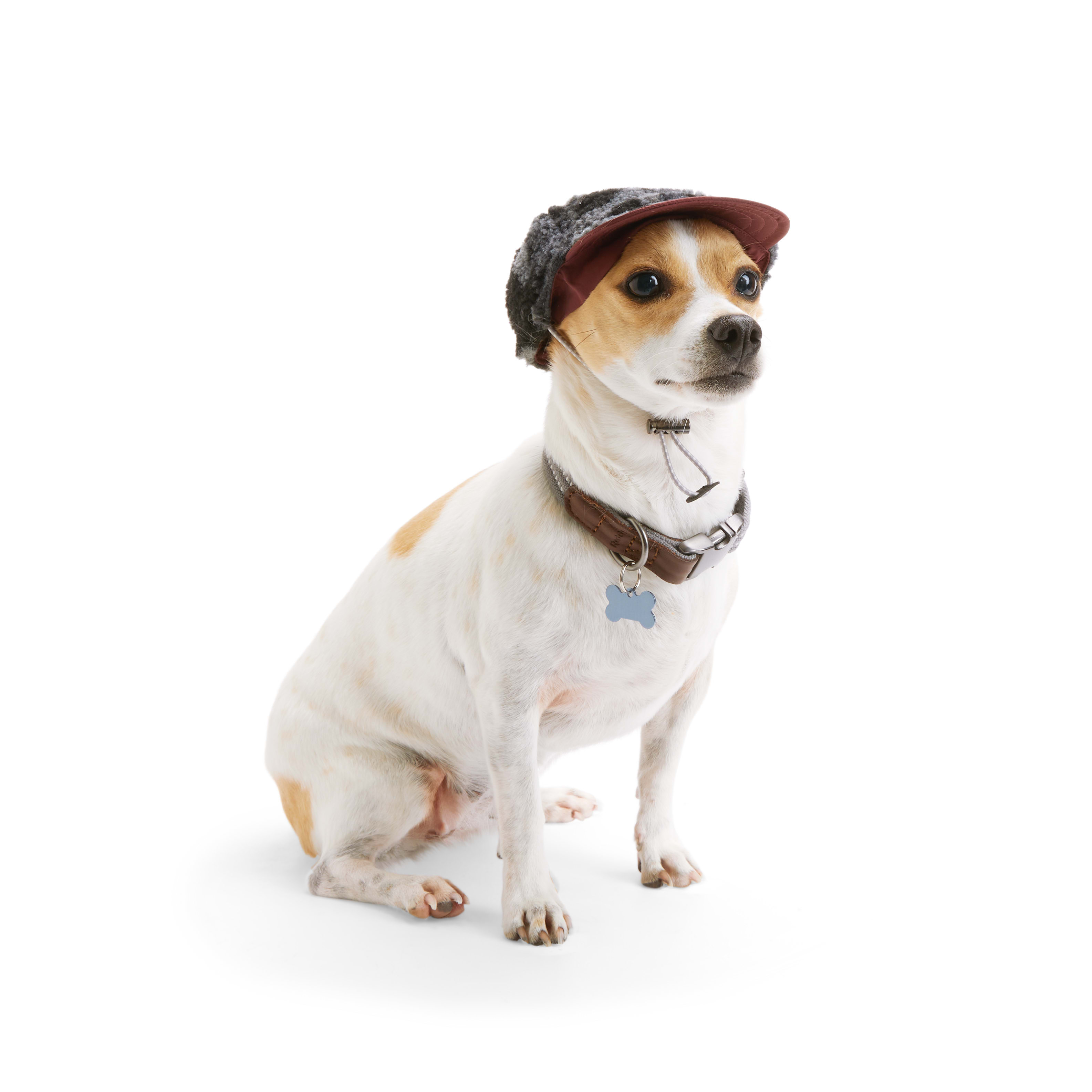 Reddy Olive and Tan Baseball Dog Hat, Large/X-Large