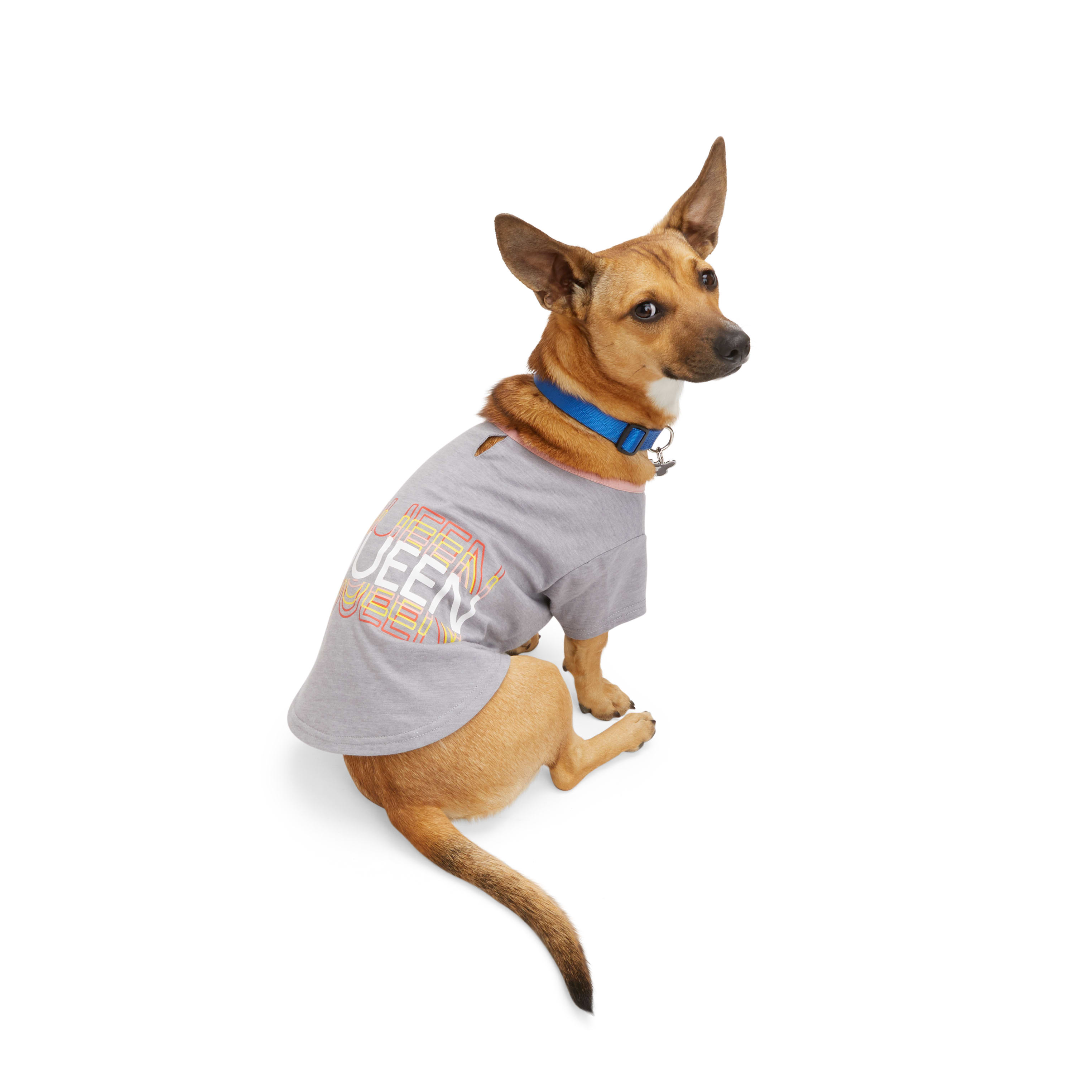 Petco cheap puppy clothes