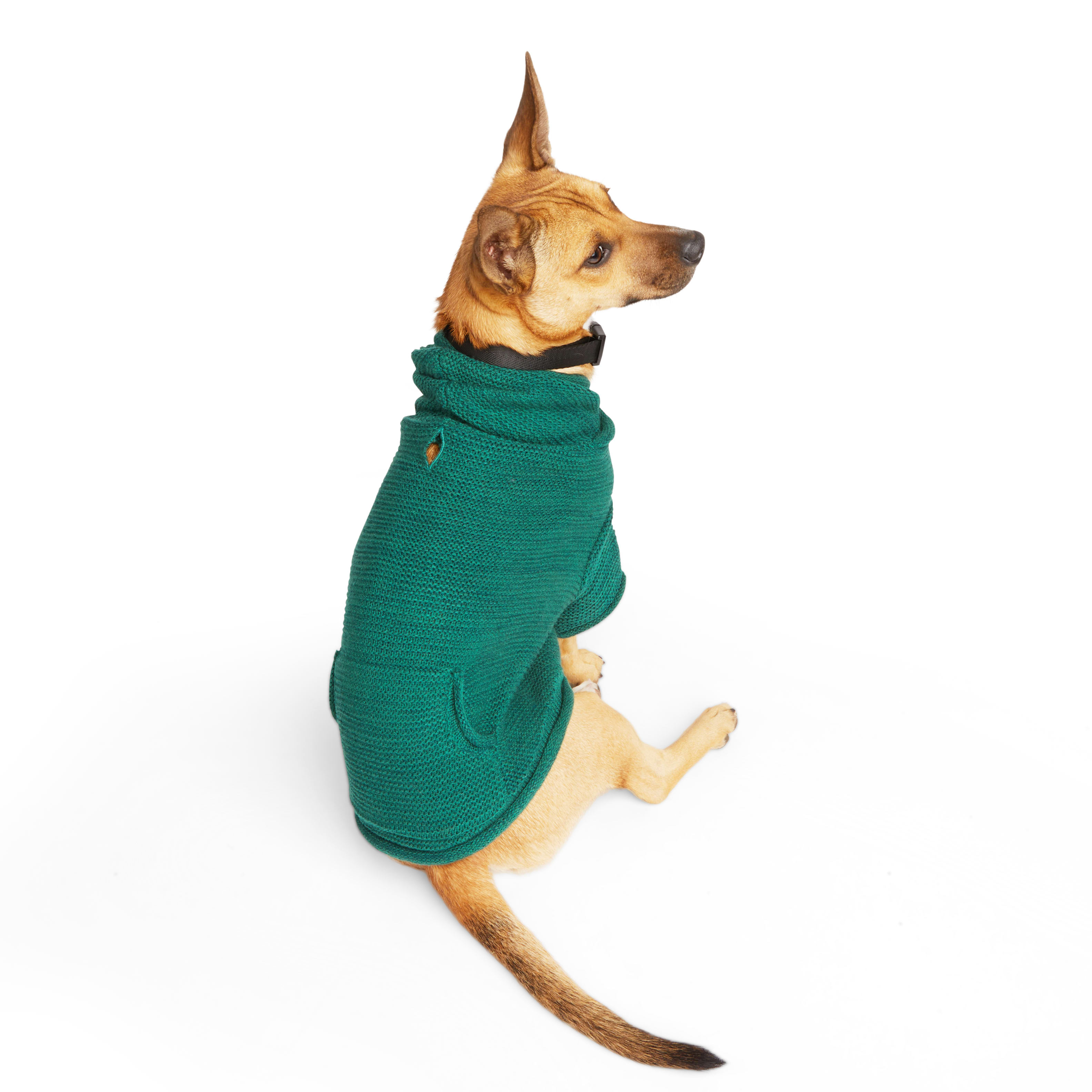 Gap Pet, Dog Clothes, Green Classic Pet Hoodie, Size: Small