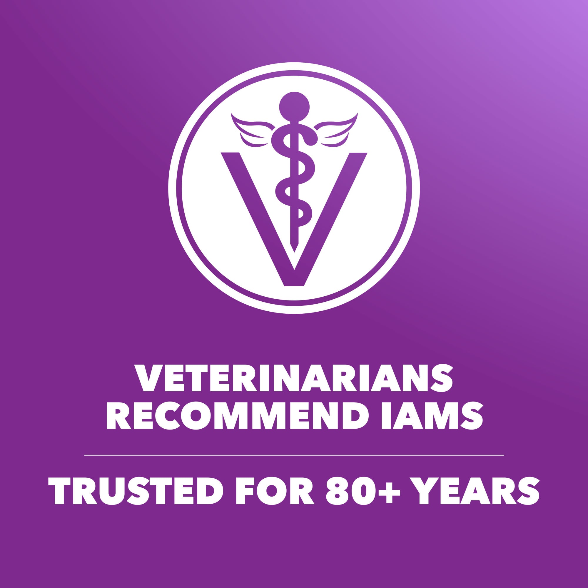 Iams Advanced Health Digestion Chicken Adult Dog Food, 27 Petco