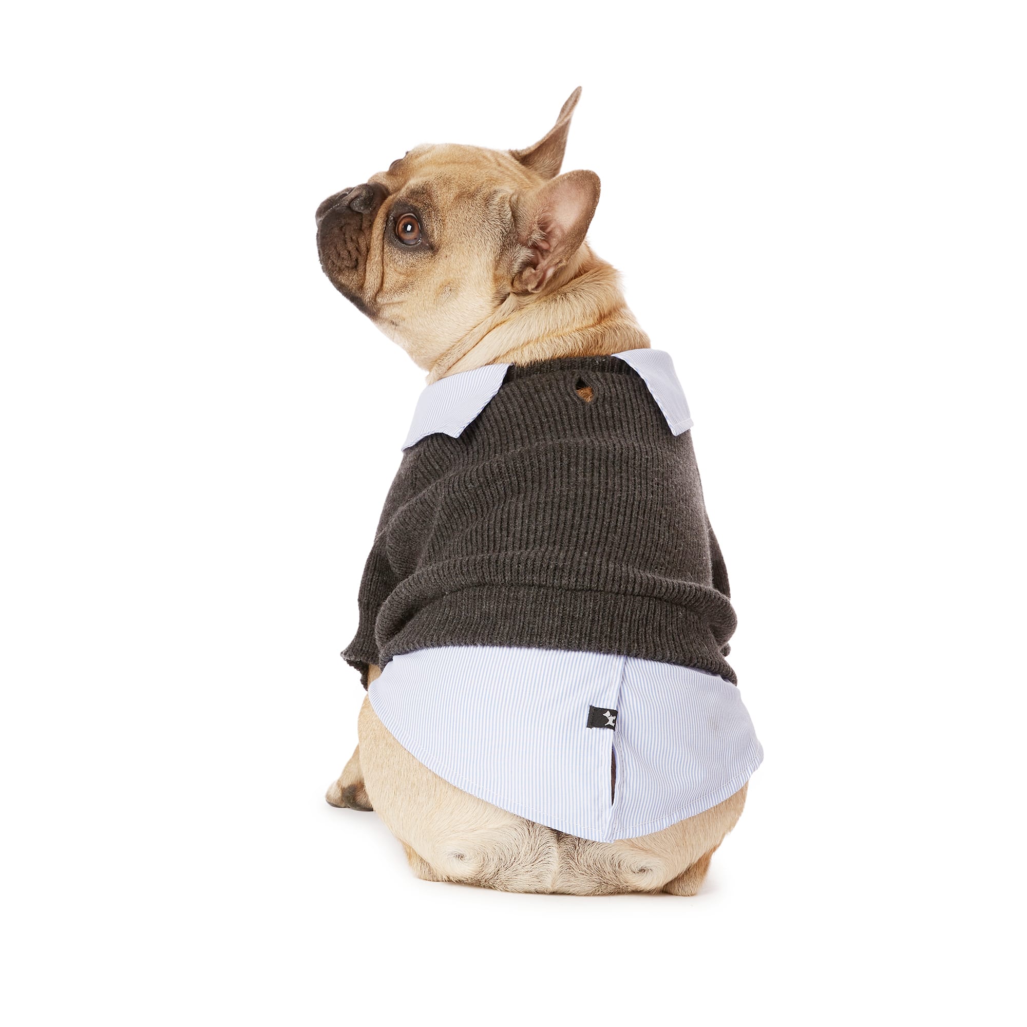 Dog Jacket Dog Vest make a fashion statement and  keep your furry friend warm Dog Harness