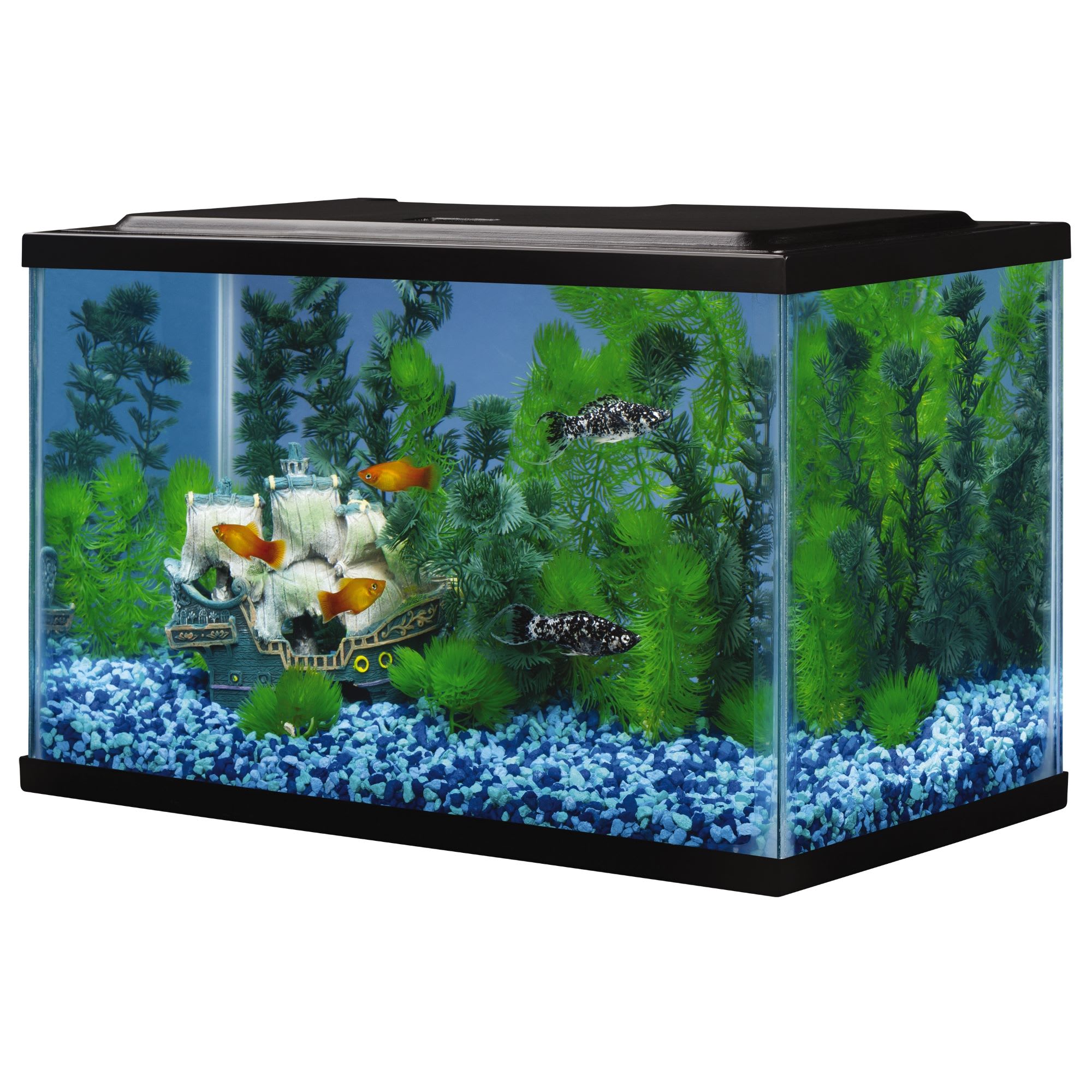 Tetra Open Glass 5 Gallon Rectangular Fish Aquarium Tank Petco