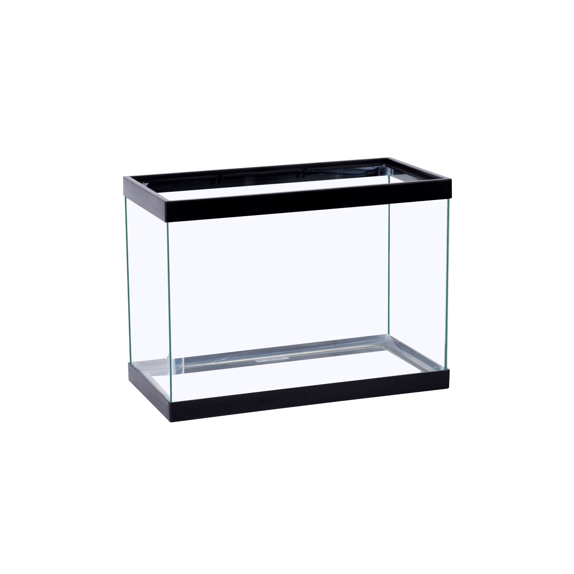 5 gallon best sale fish tank petco