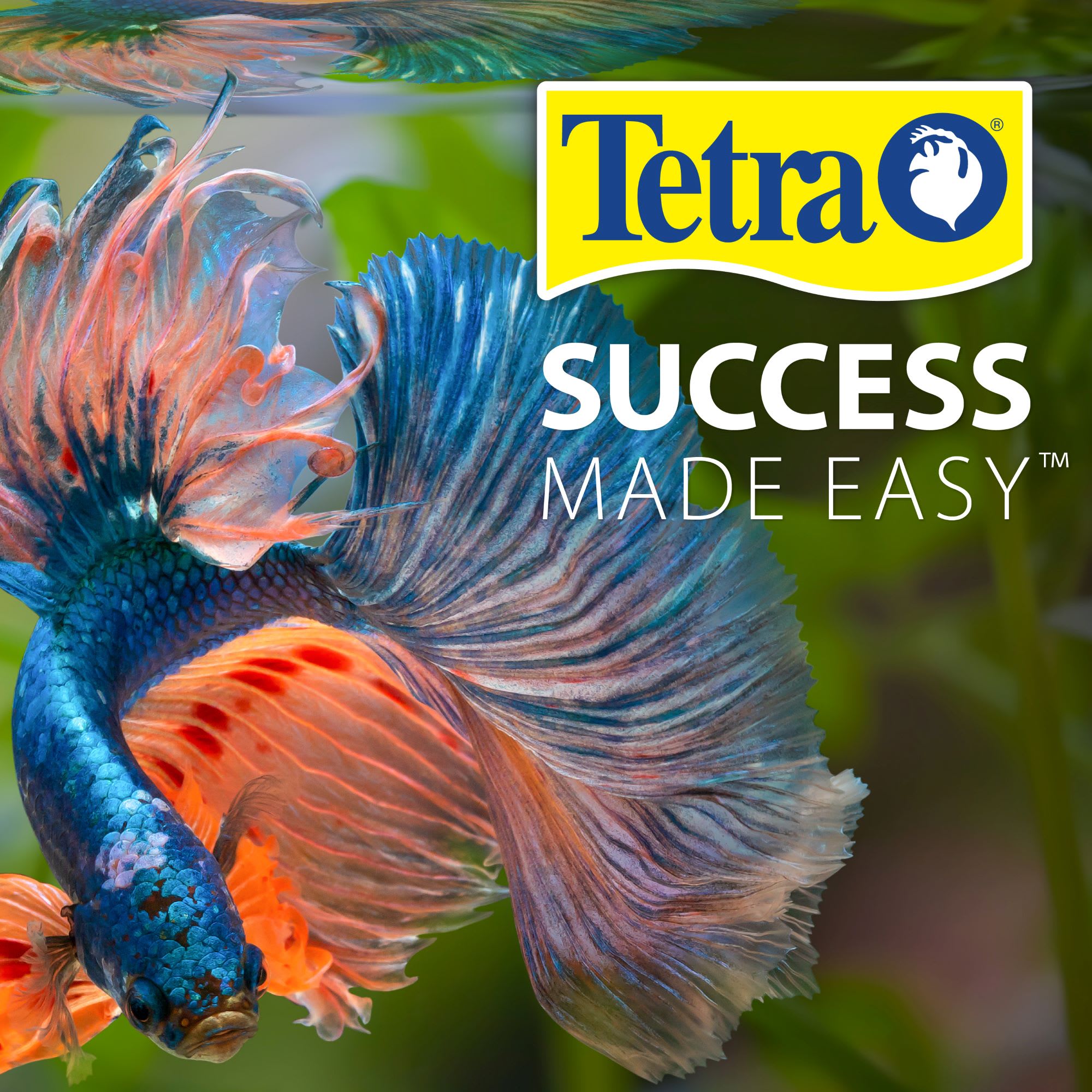 Tetra Open Glass 10 Gallon Rectangular Fish Aquarium Tank