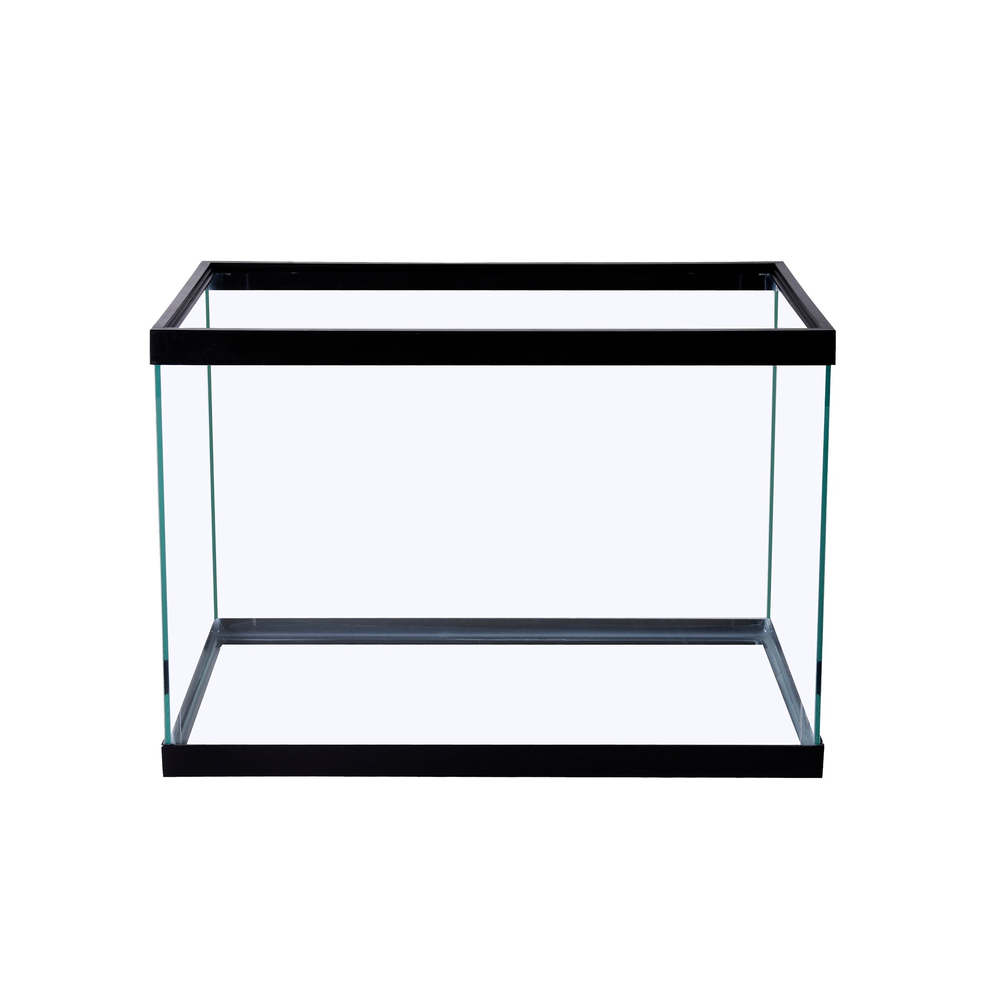 Petco 20 2025 gallon tank